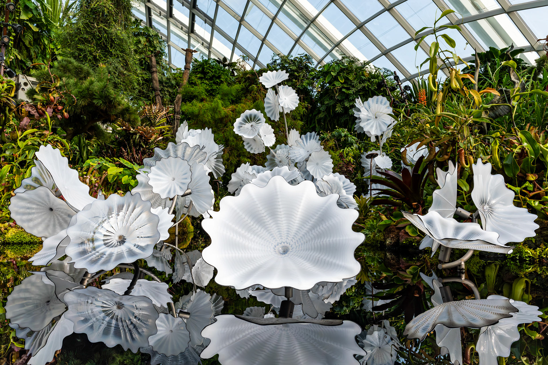 Eine Glasinstallation über einem Teich im oberen Stockwerk der Gardens by the Bay