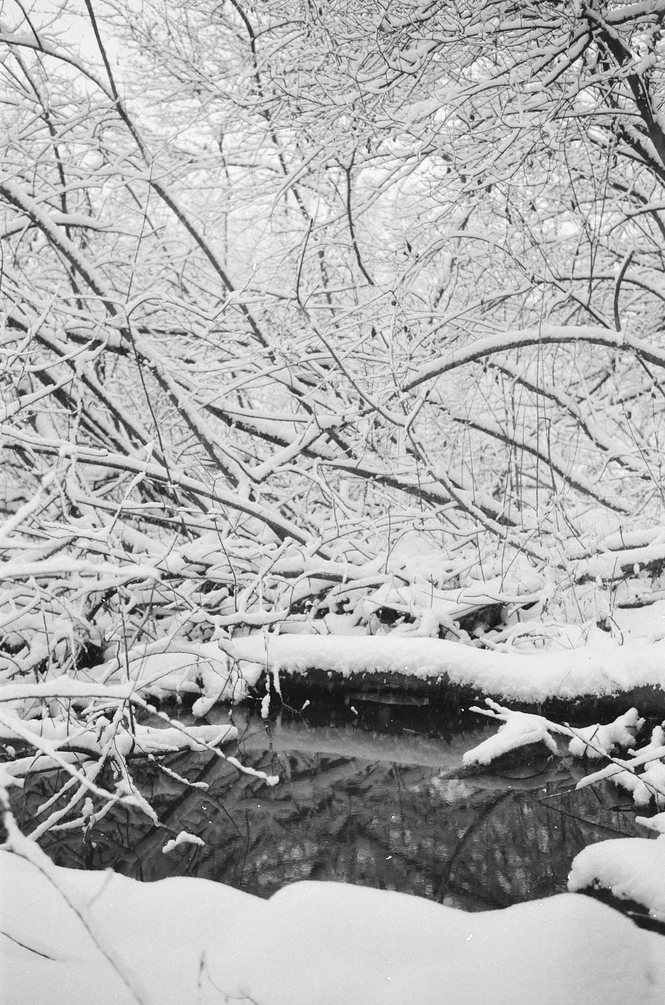 Wetzlarer Lahninsel im Winter, Leica M4, Voigtländer Ultron 35mm F2.0, Agfa 100APX