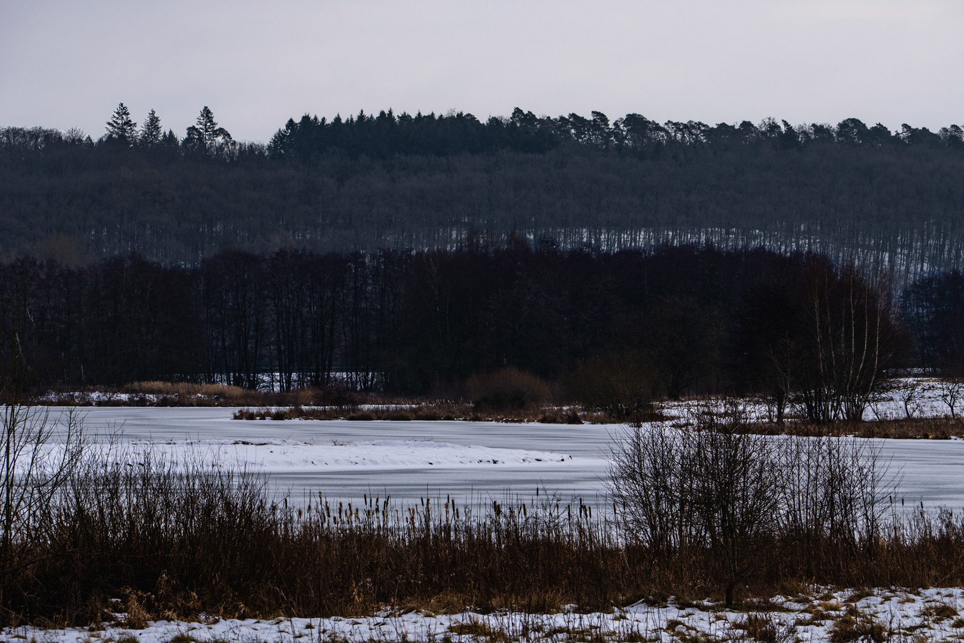 Aartalsee Naturschutzgebiet im Winter, vereist.