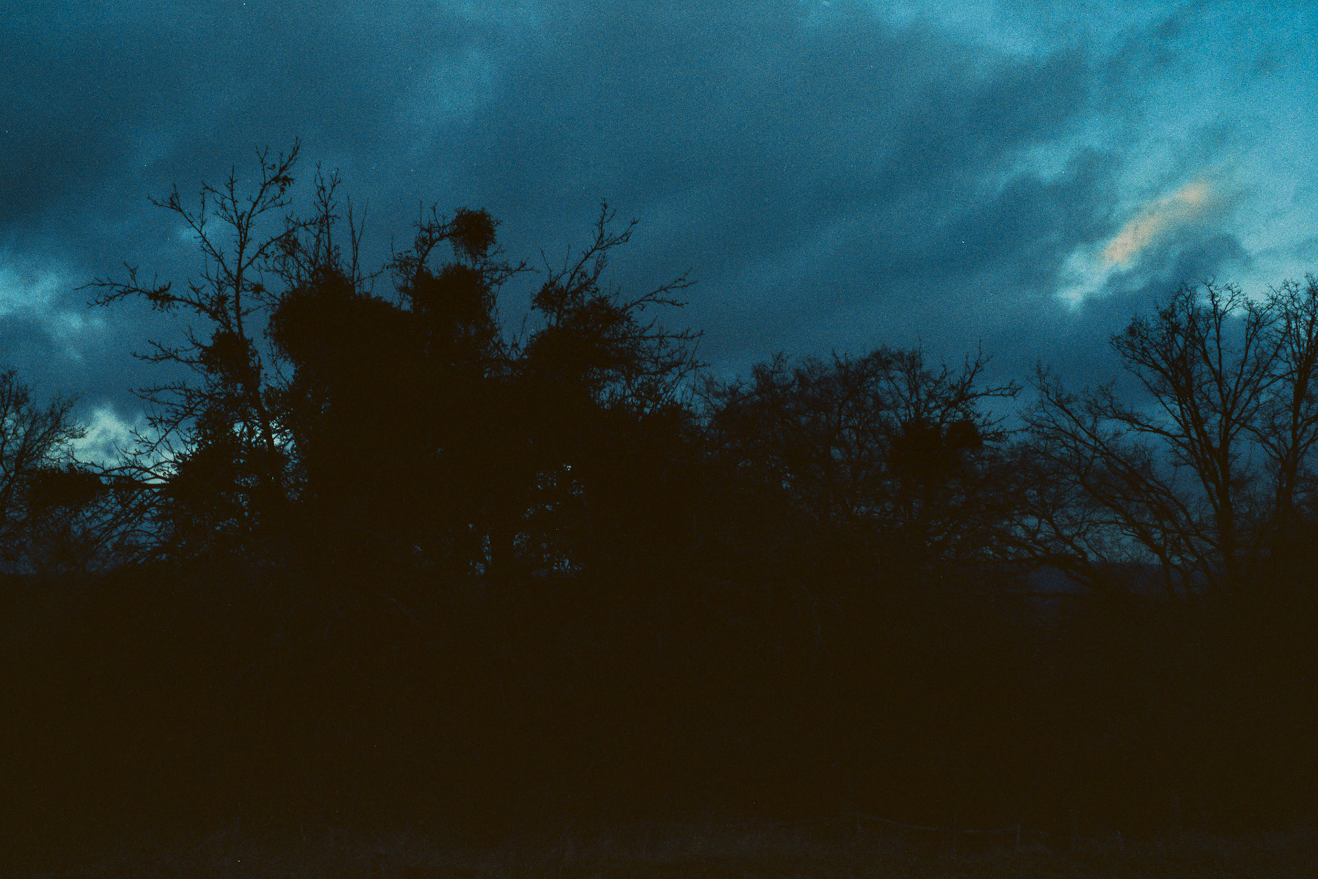 Leica M4, Voigtländer Ultron 35mm F2.0, Vision3 500T pushed auf 1600 ISO.