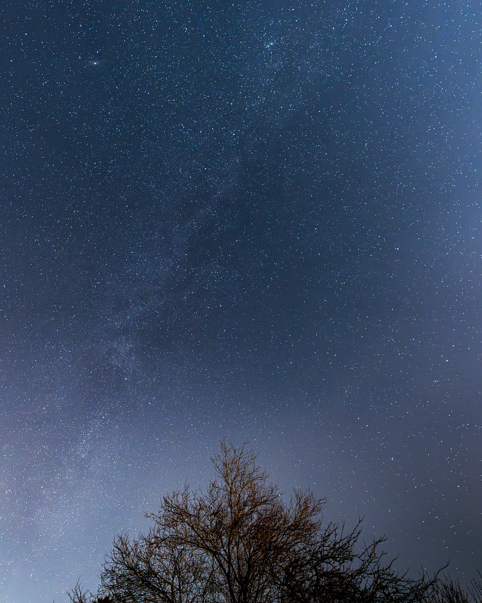 Wintermilchstraße aus dem Garten aufgenommen