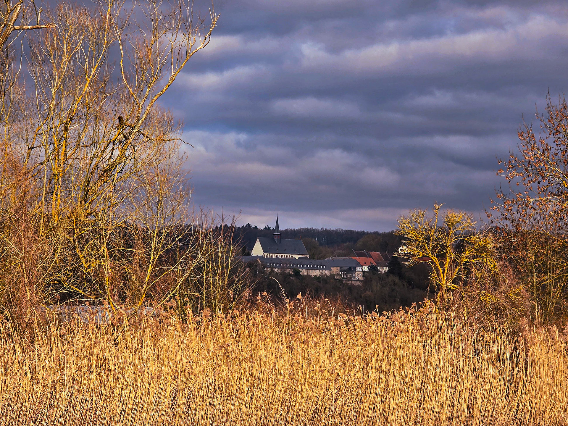 Kloster Altenberg, eingerahmt in den golden anmutenden Uferbewuchs der Lahn nahe Solms-Albshausen