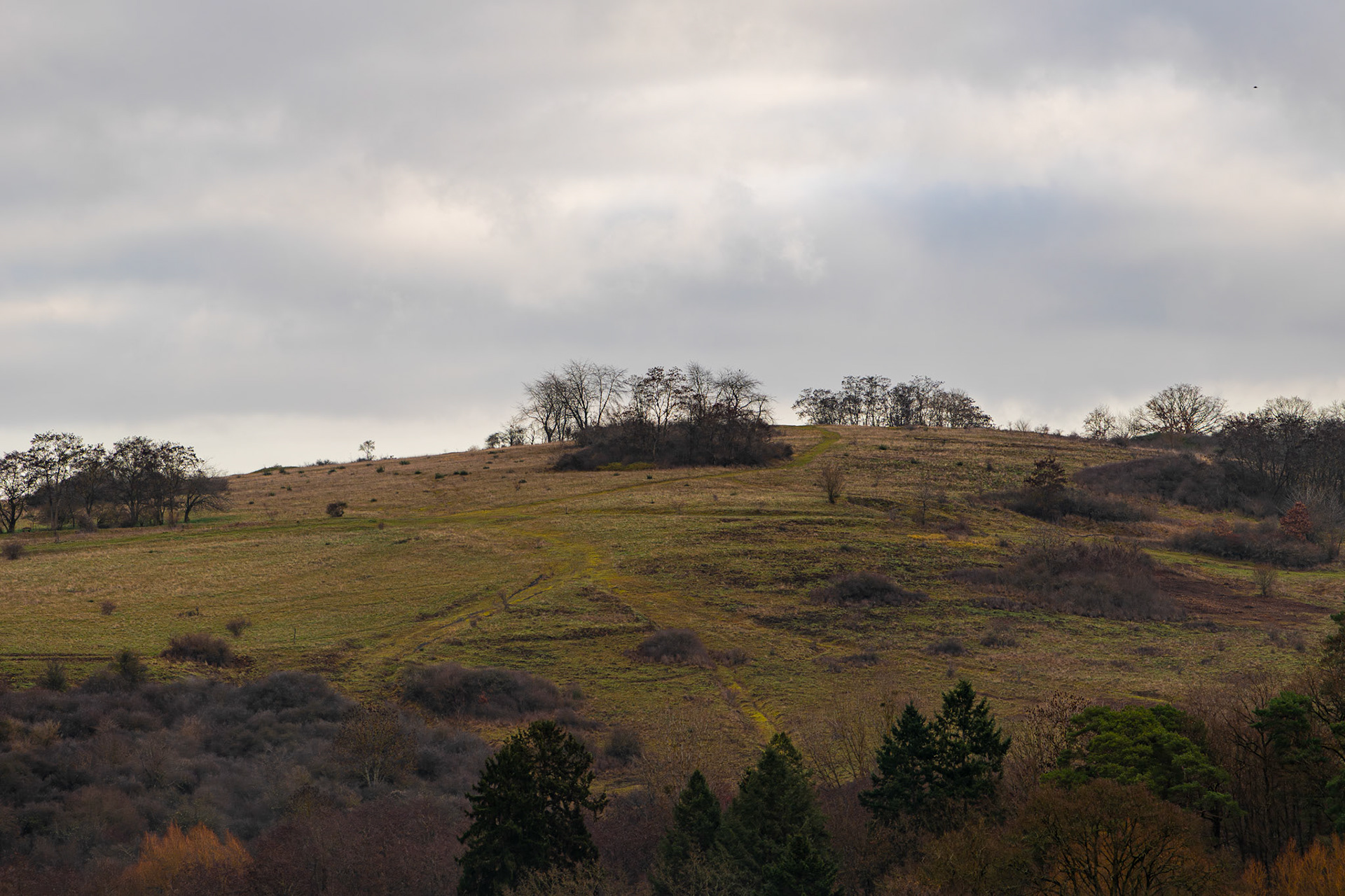 Der ehemalige Truppenübungsplatz Weinberg, nun ein Naturschutzgebiet, mit seiner zerfurchten, zu jeder Jahreszeit besonders gefärbten Landschaft