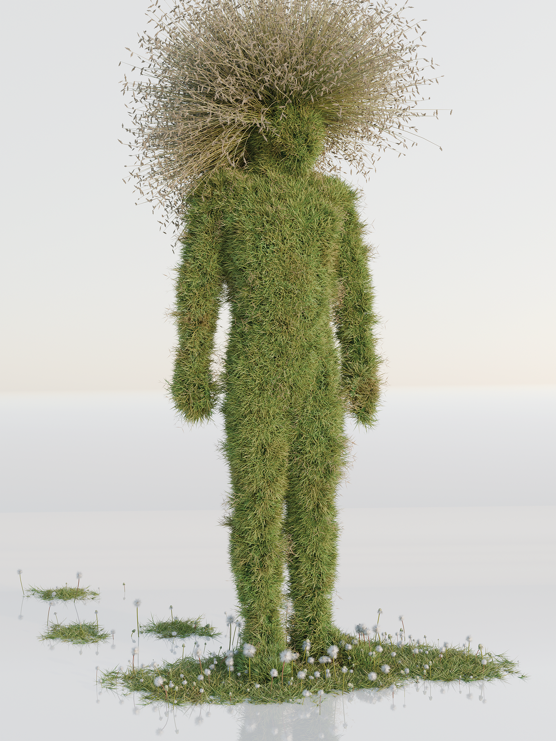 Rooted In Reflection