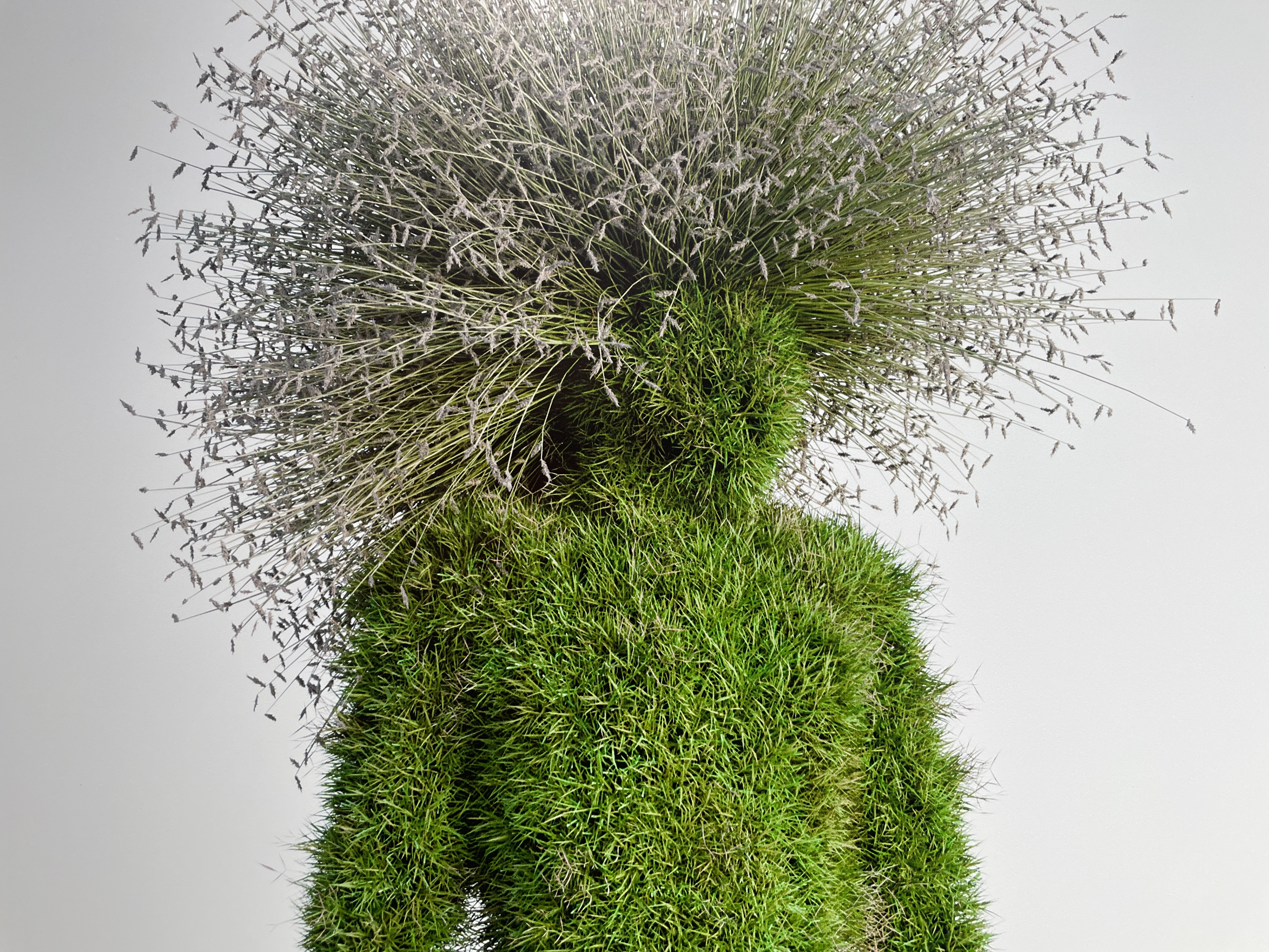 Rooted In Reflection