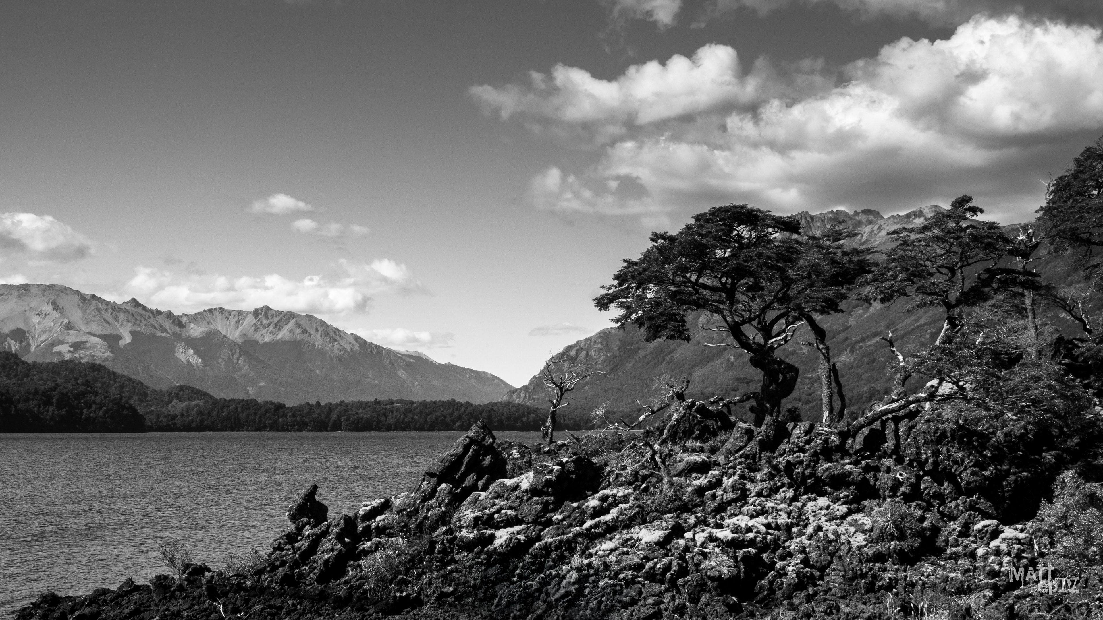 Escorial, Parque Nacional Lanín, Neuquén, Argentina