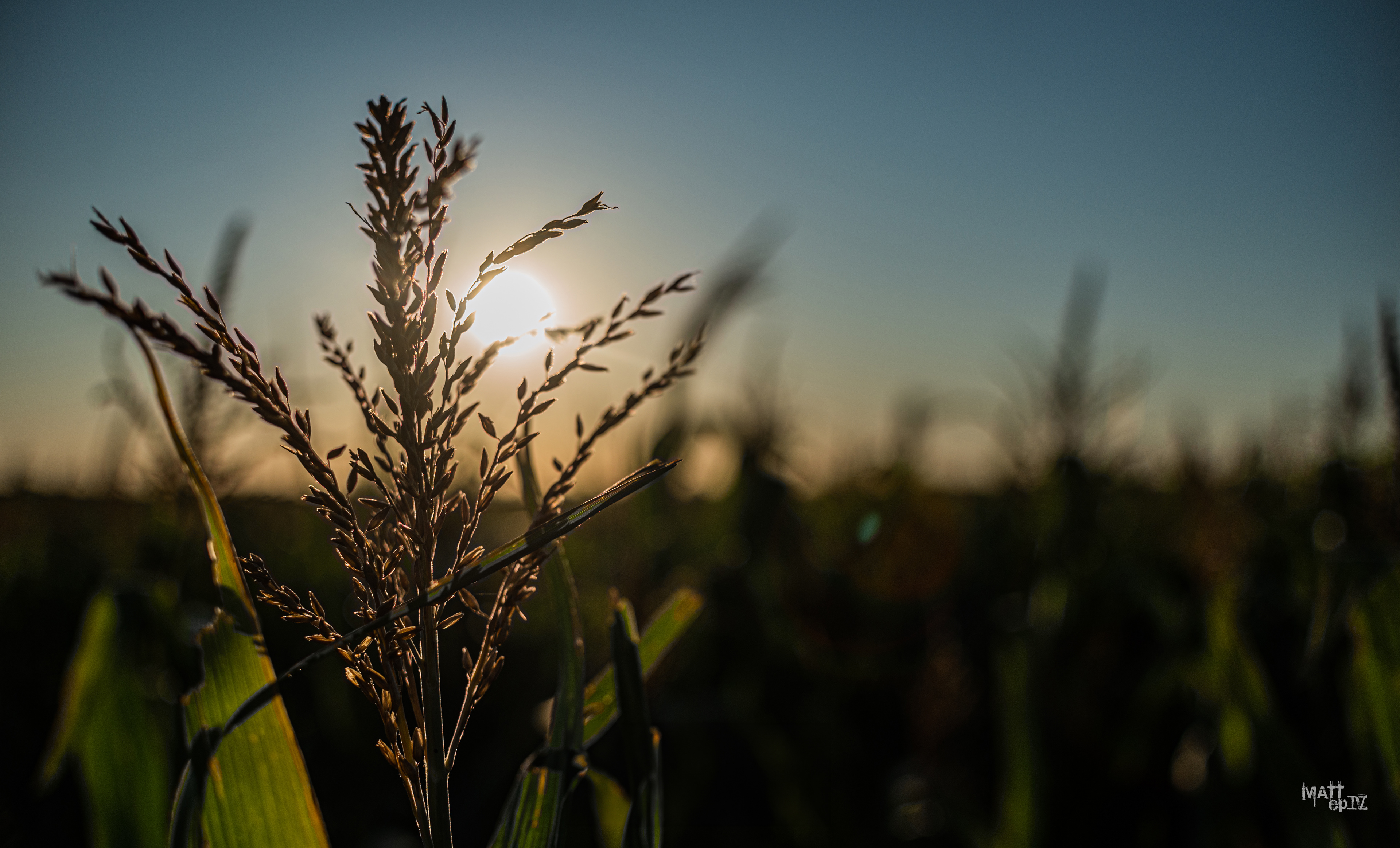 Bragado, Buenos Aires, Argentina