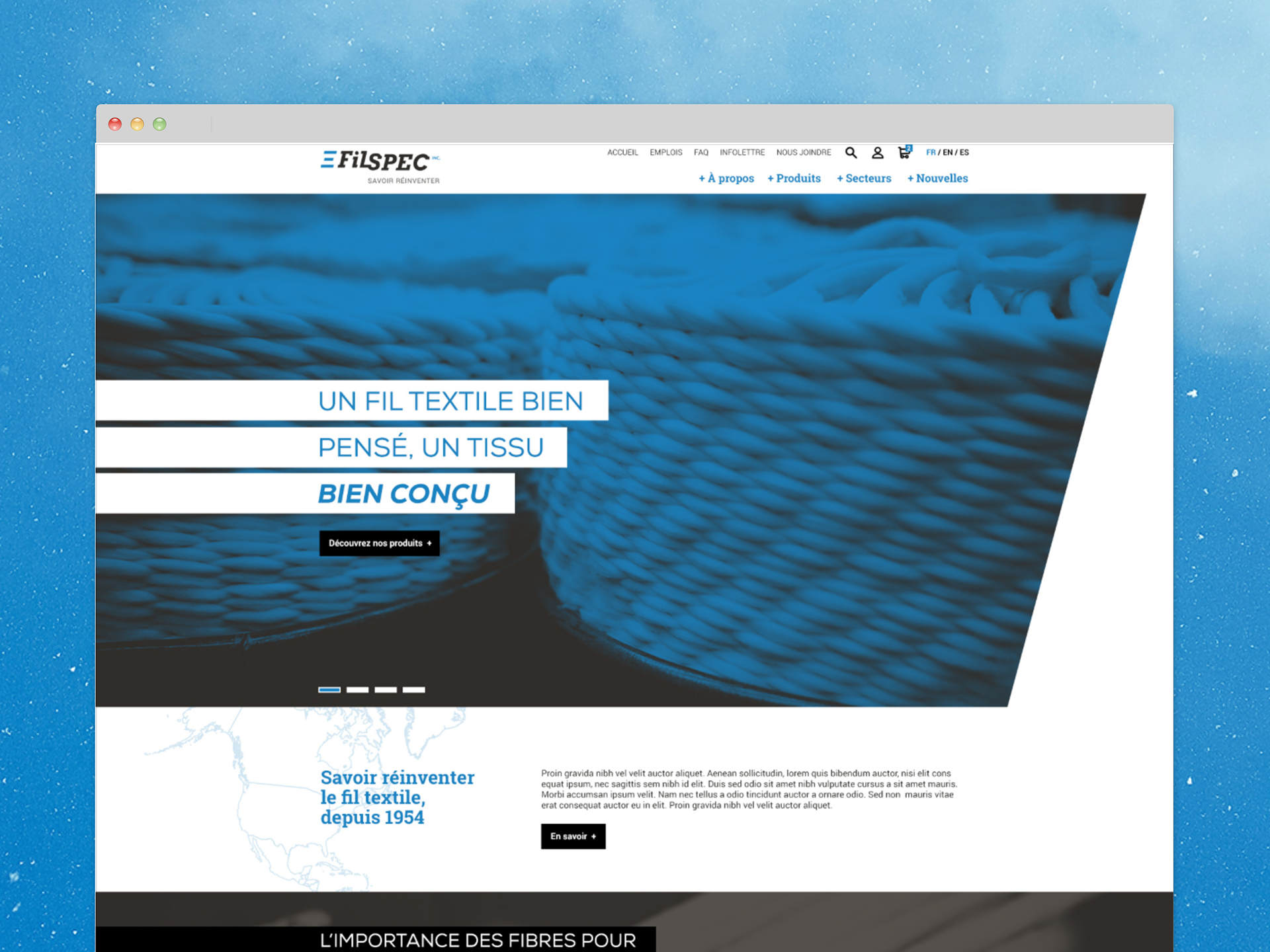 Écran d'accueil du site Web