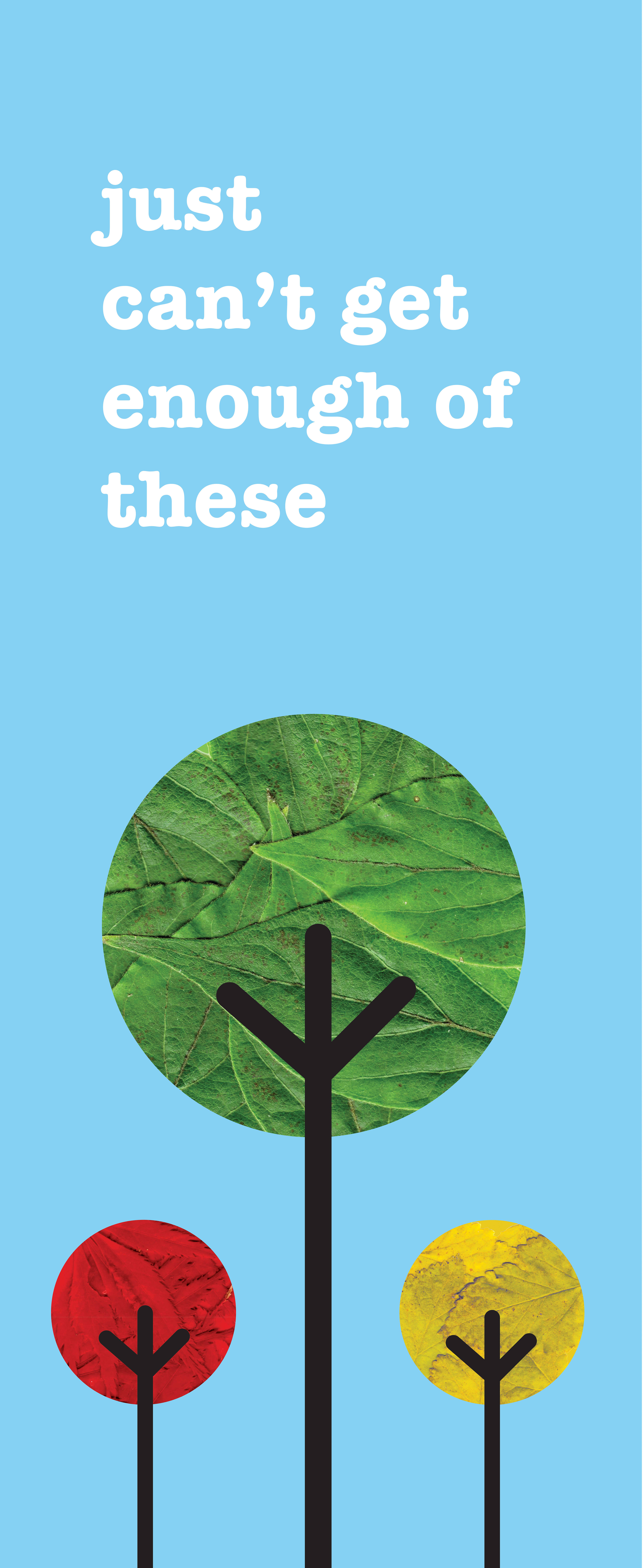 The Urban Forest Project // 2010