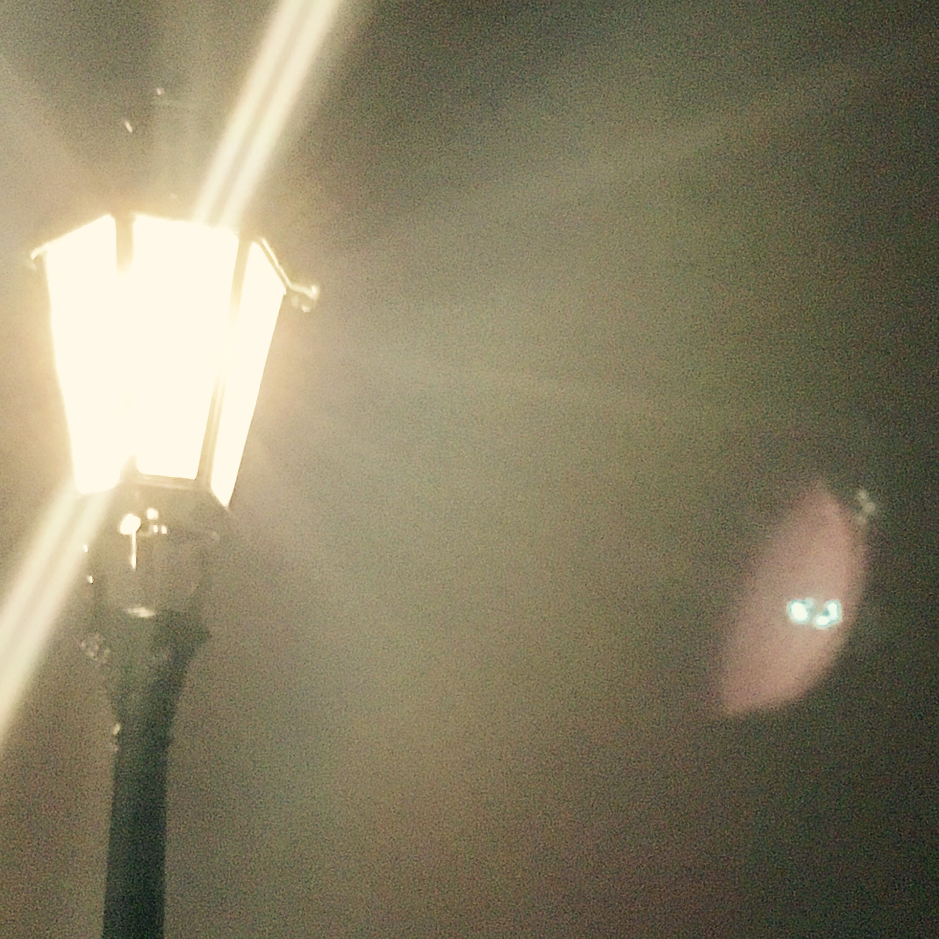 One Royal Light