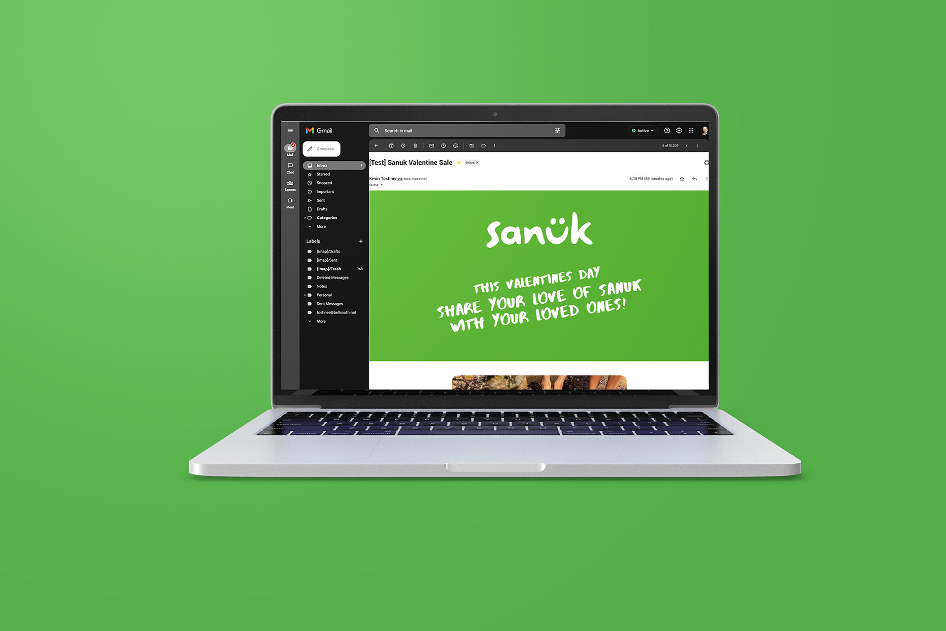 Email Newsletter, In Use 1