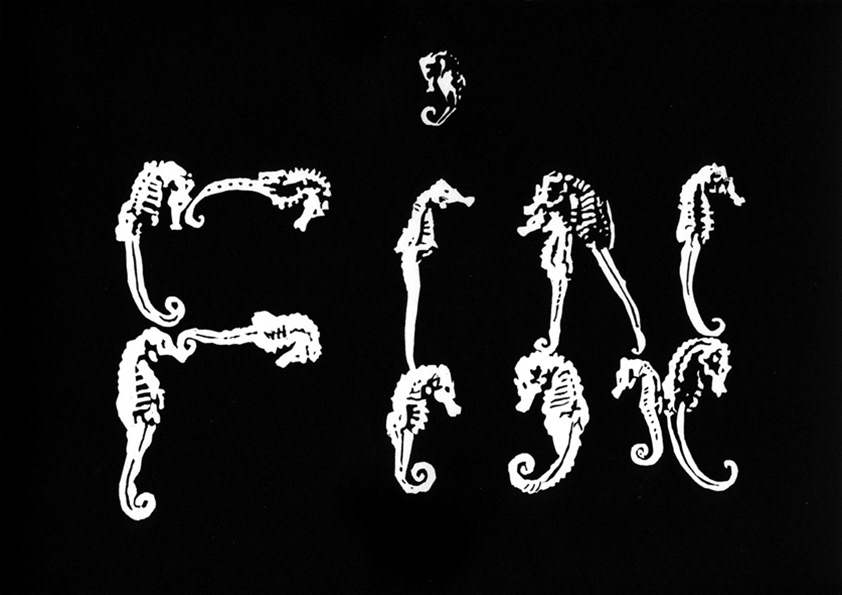 The End of Role Reversals  (L’Hippocampe, Regie Jean Painlevé)