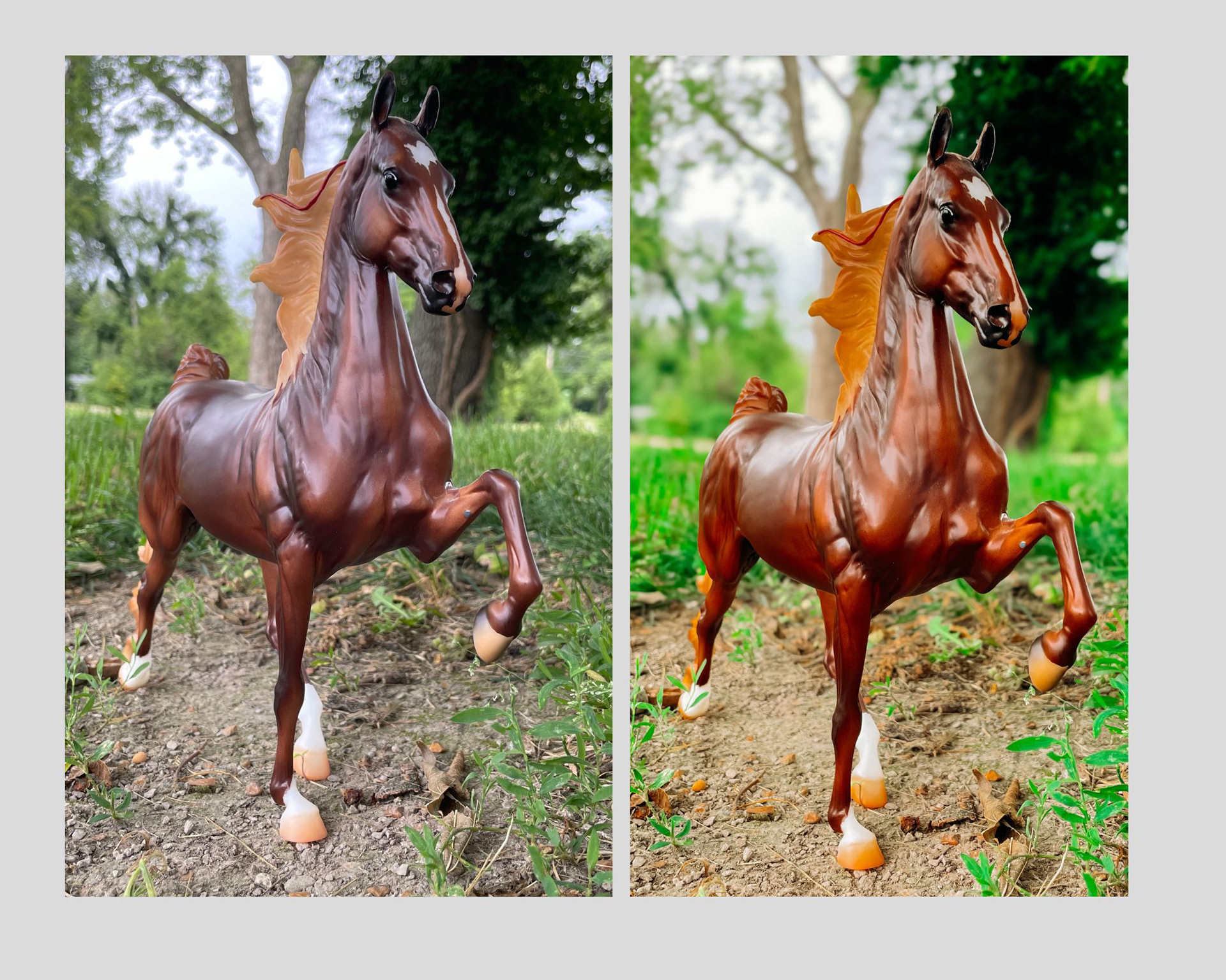 PHOTO RETOUCHING $20 PER IMG