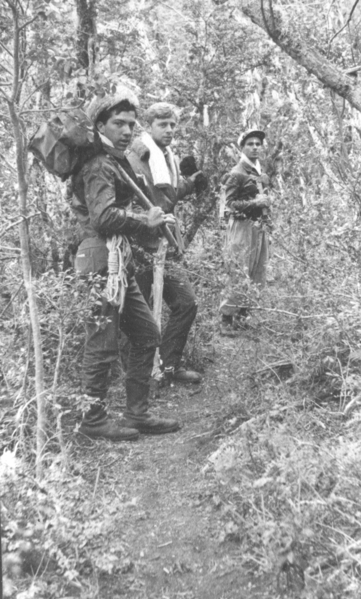Picada al Lago Escondido al Pie del Cerro Padre Laguna.