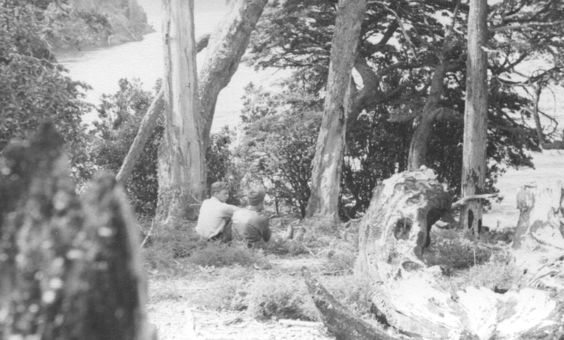 Momento de Descanso en Lago Moreno