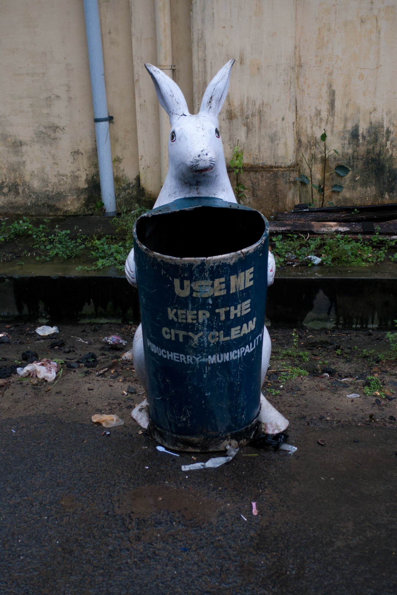 India - Pondicherry  2010