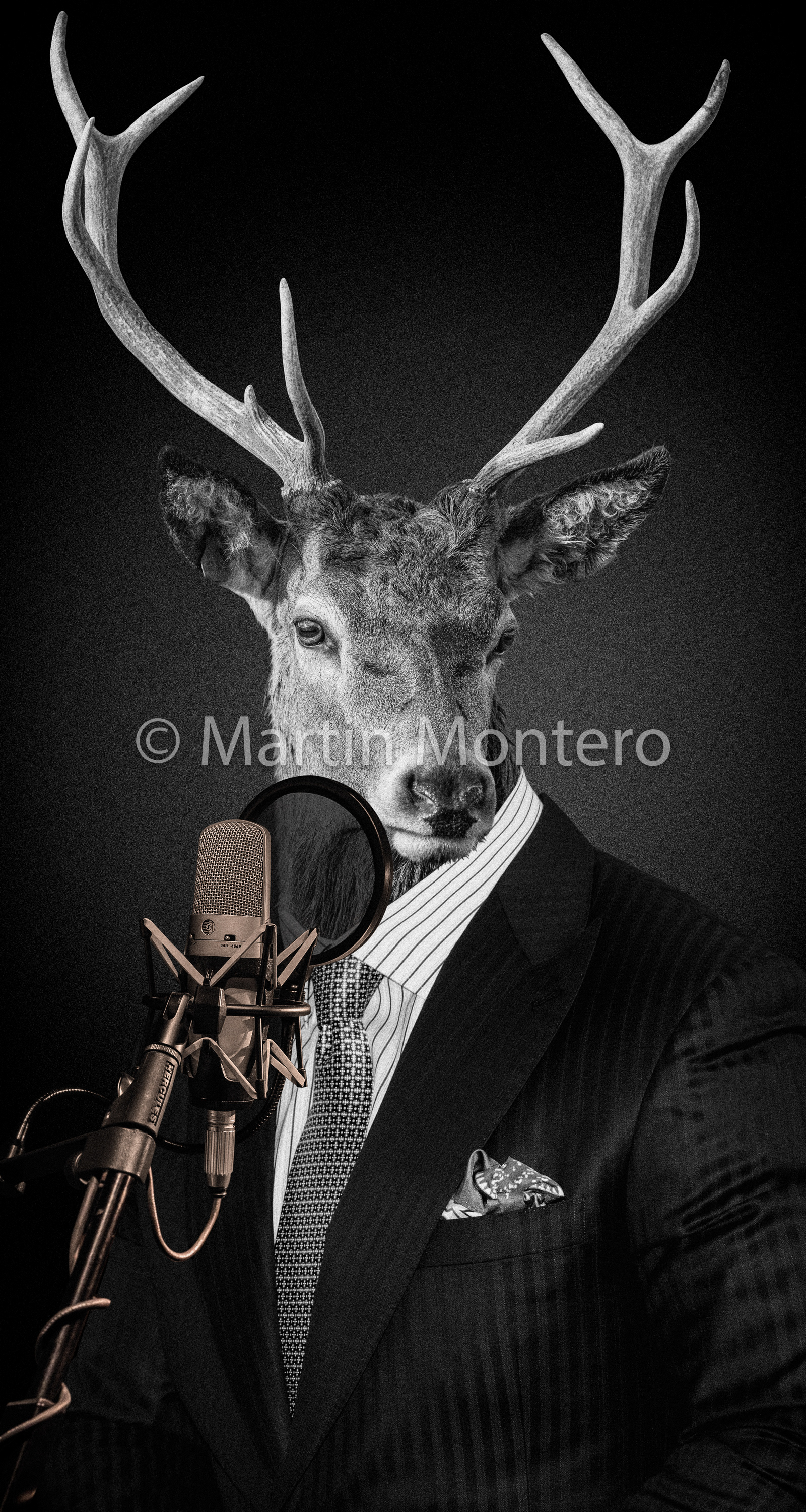 VSI Civisa - fotomontajes para gráficas - www.vsi-civisa.com