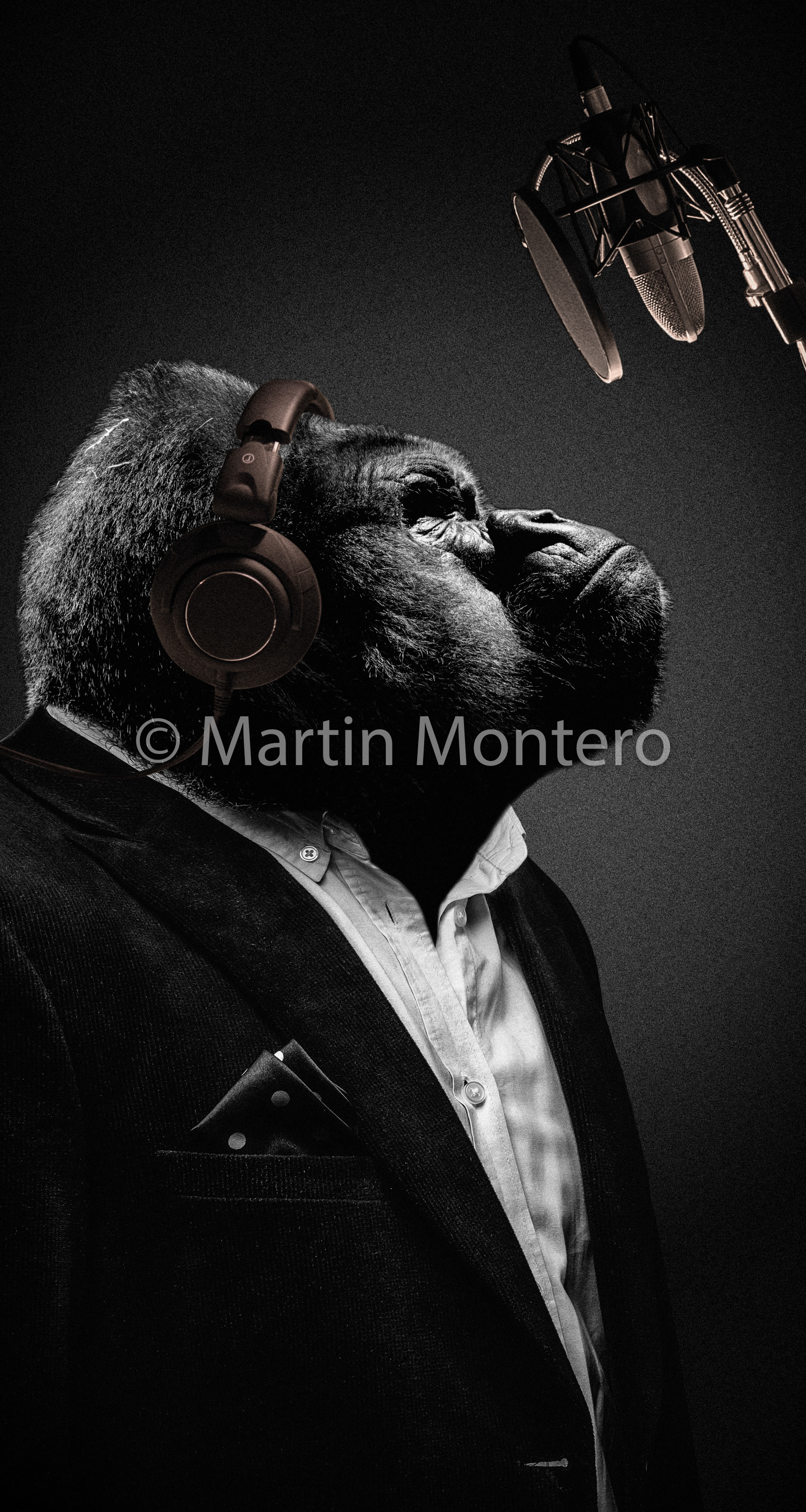 VSI Civisa - fotomontajes para gráficas - www.vsi-civisa.com