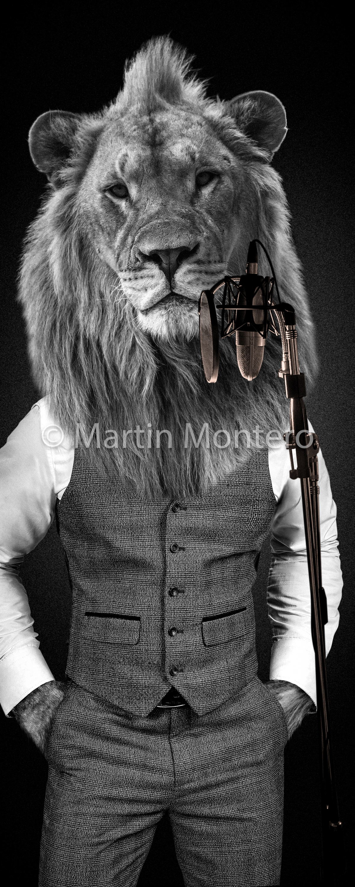 VSI Civisa - fotomontajes para gráficas - www.vsi-civisa.com