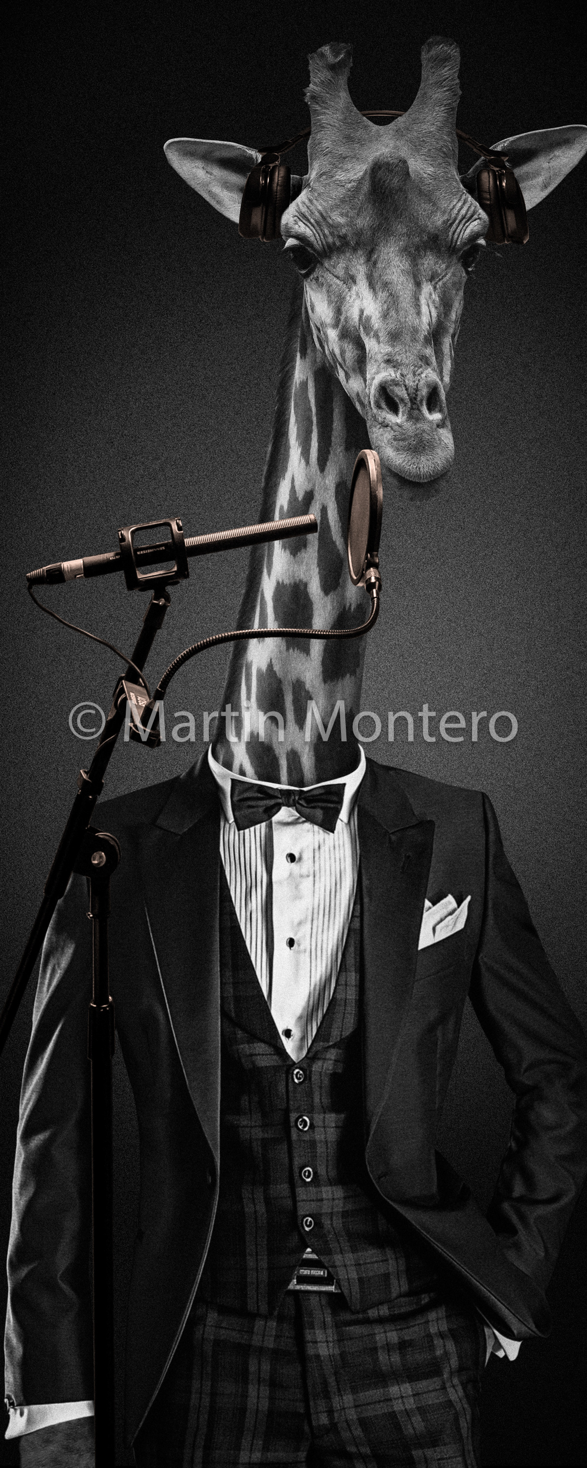 VSI Civisa - fotomontajes para gráficas - www.vsi-civisa.com