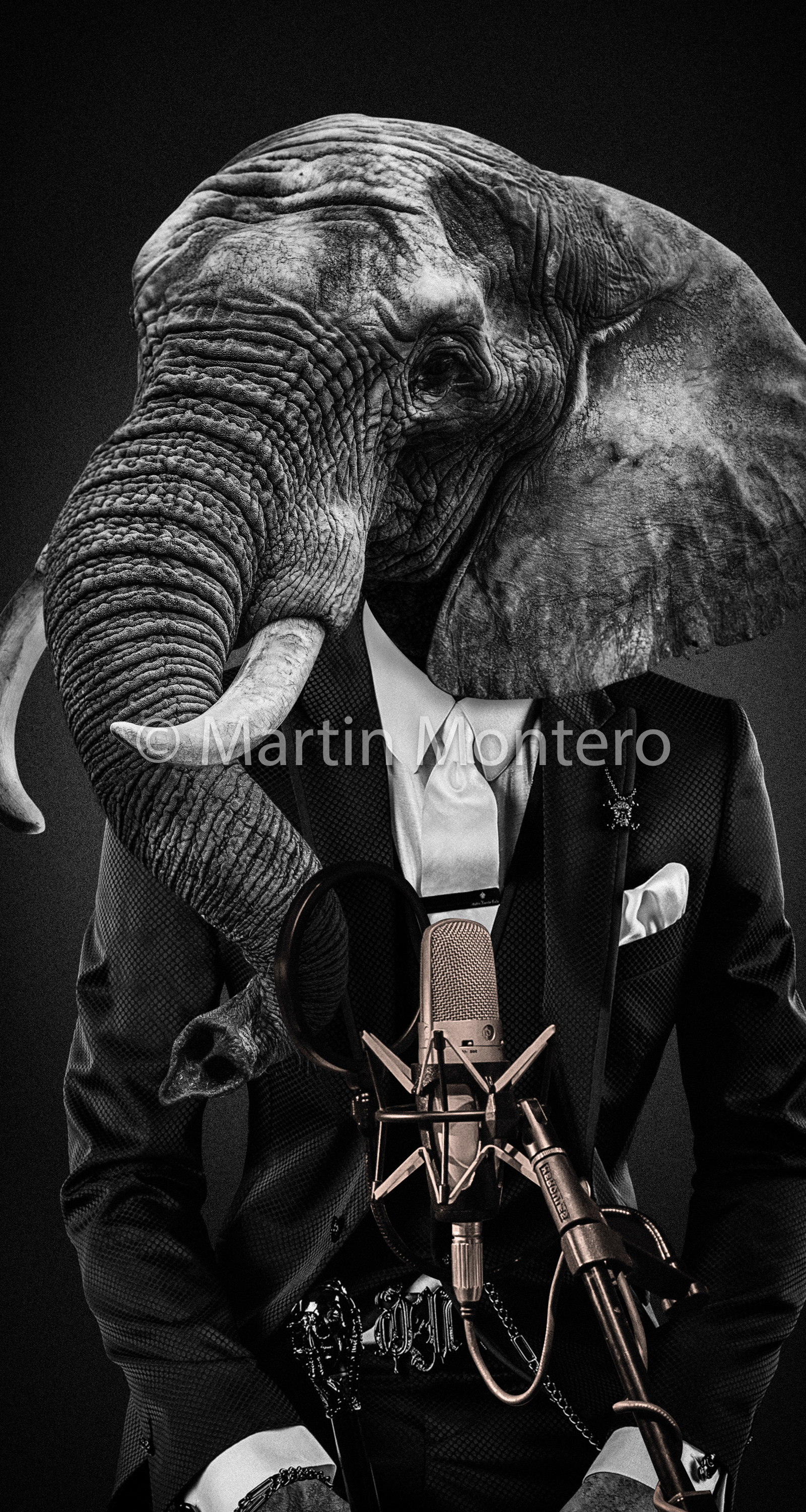 VSI Civisa - fotomontajes para gráficas - www.vsi-civisa.com