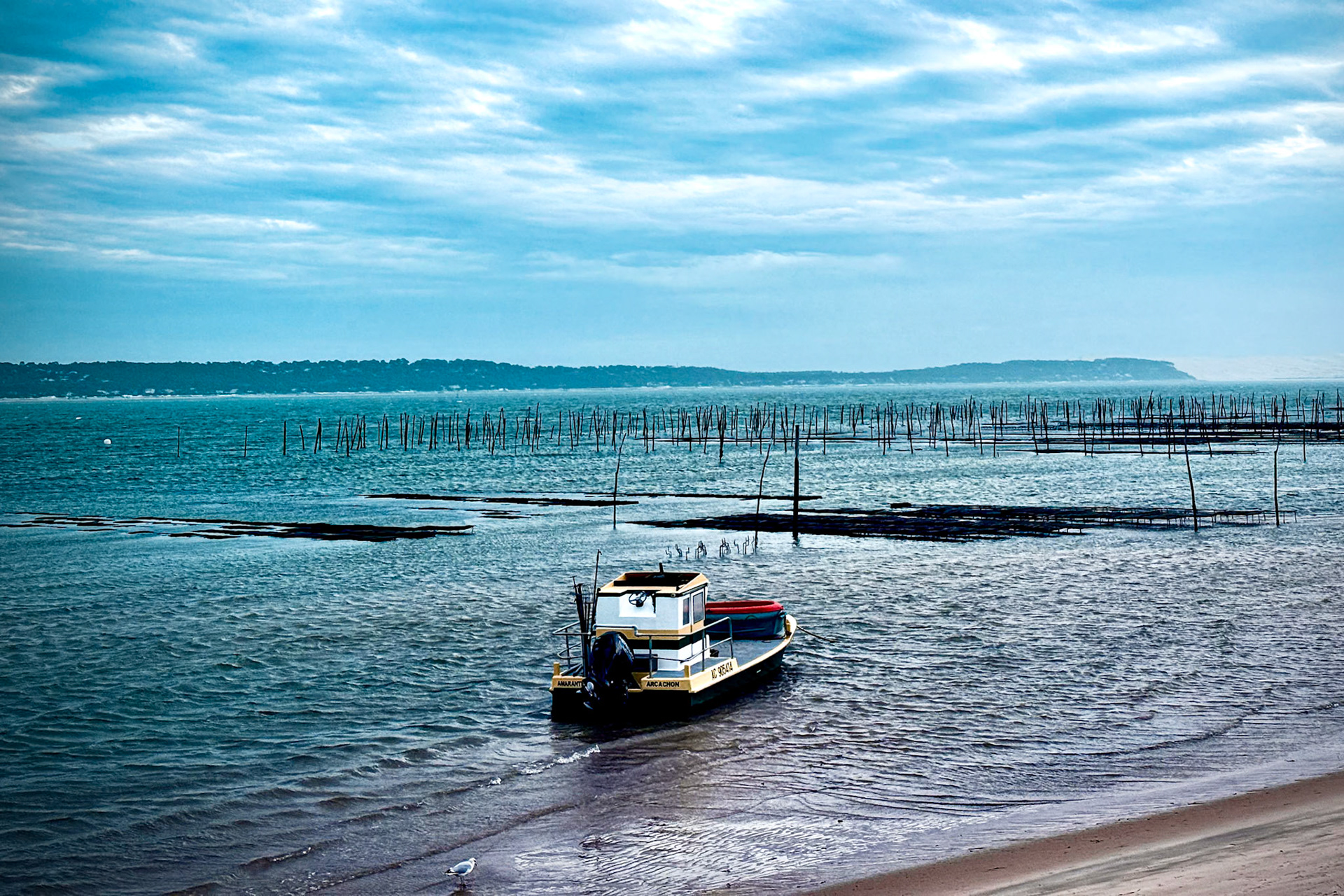 oystering in the Bassin d'Arcachon, France