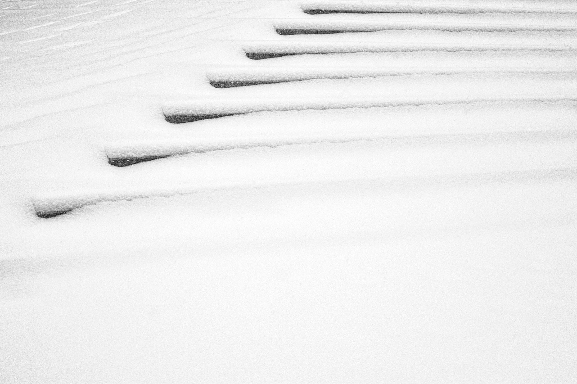 snowing on the north steps of the Field Museum, Chicago