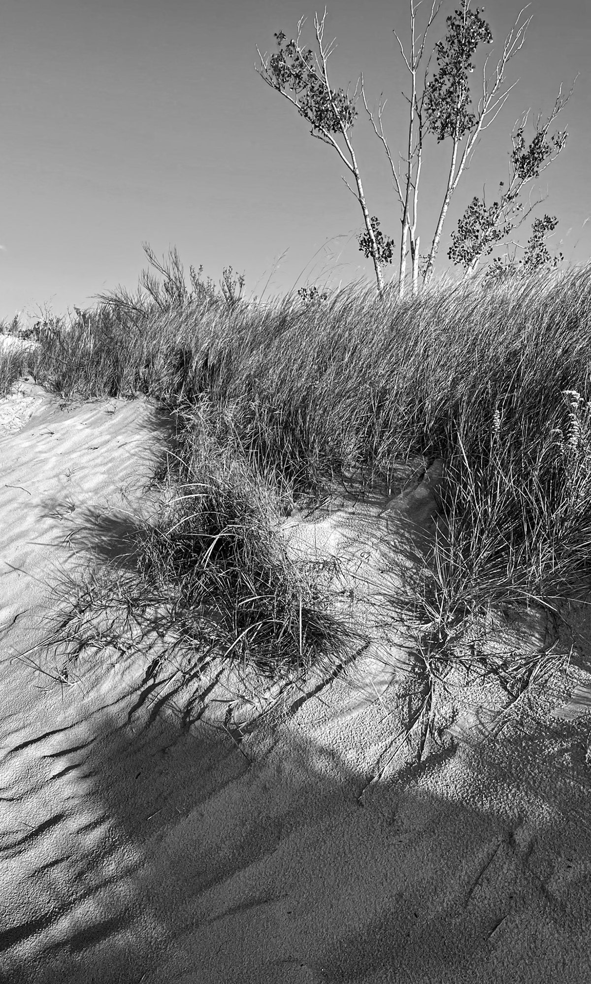 Indiana Dunes, Indiana