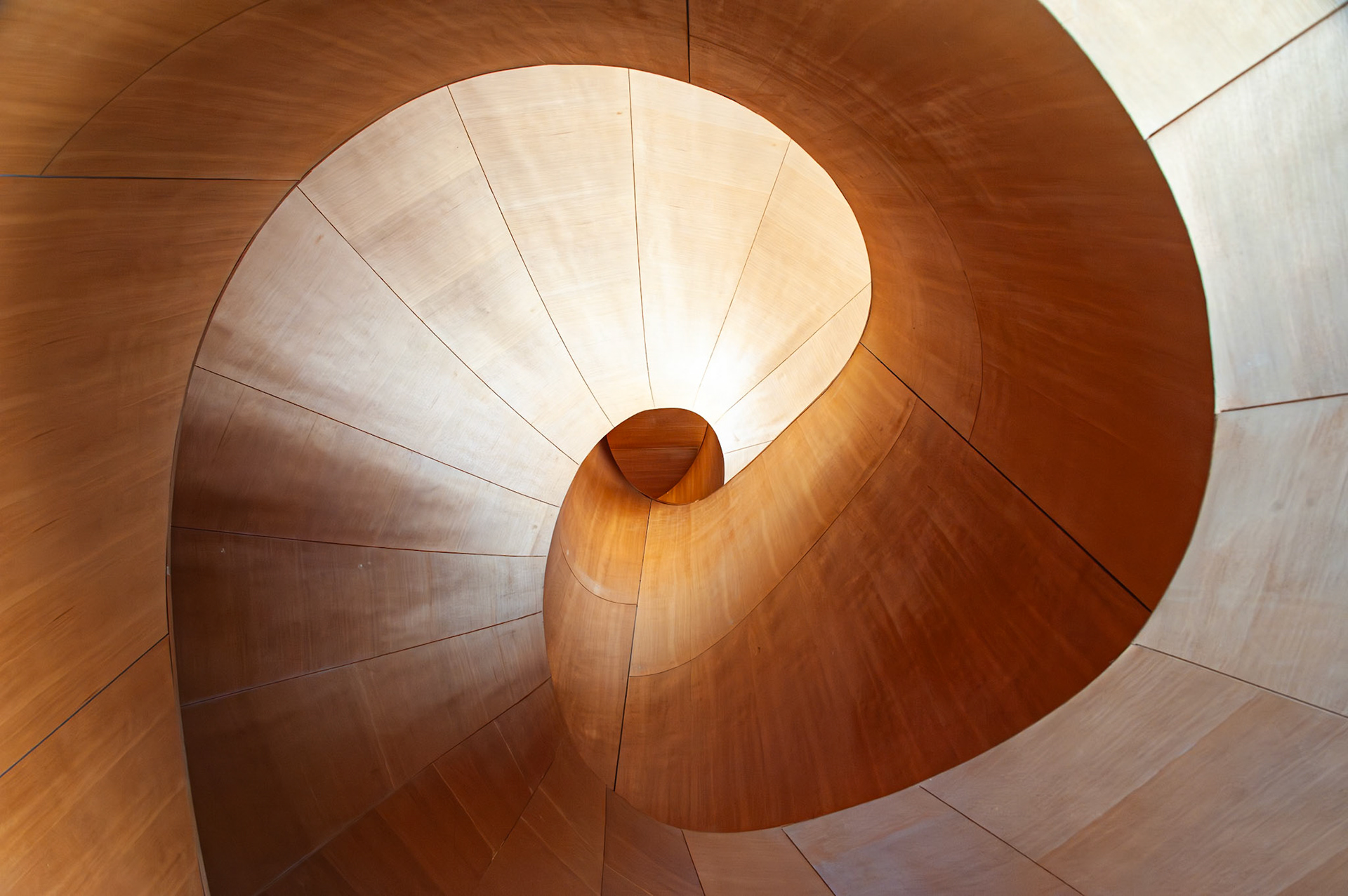 Art Gallery of Toronto (AGO), Frank Gehry's interior wooden stairway