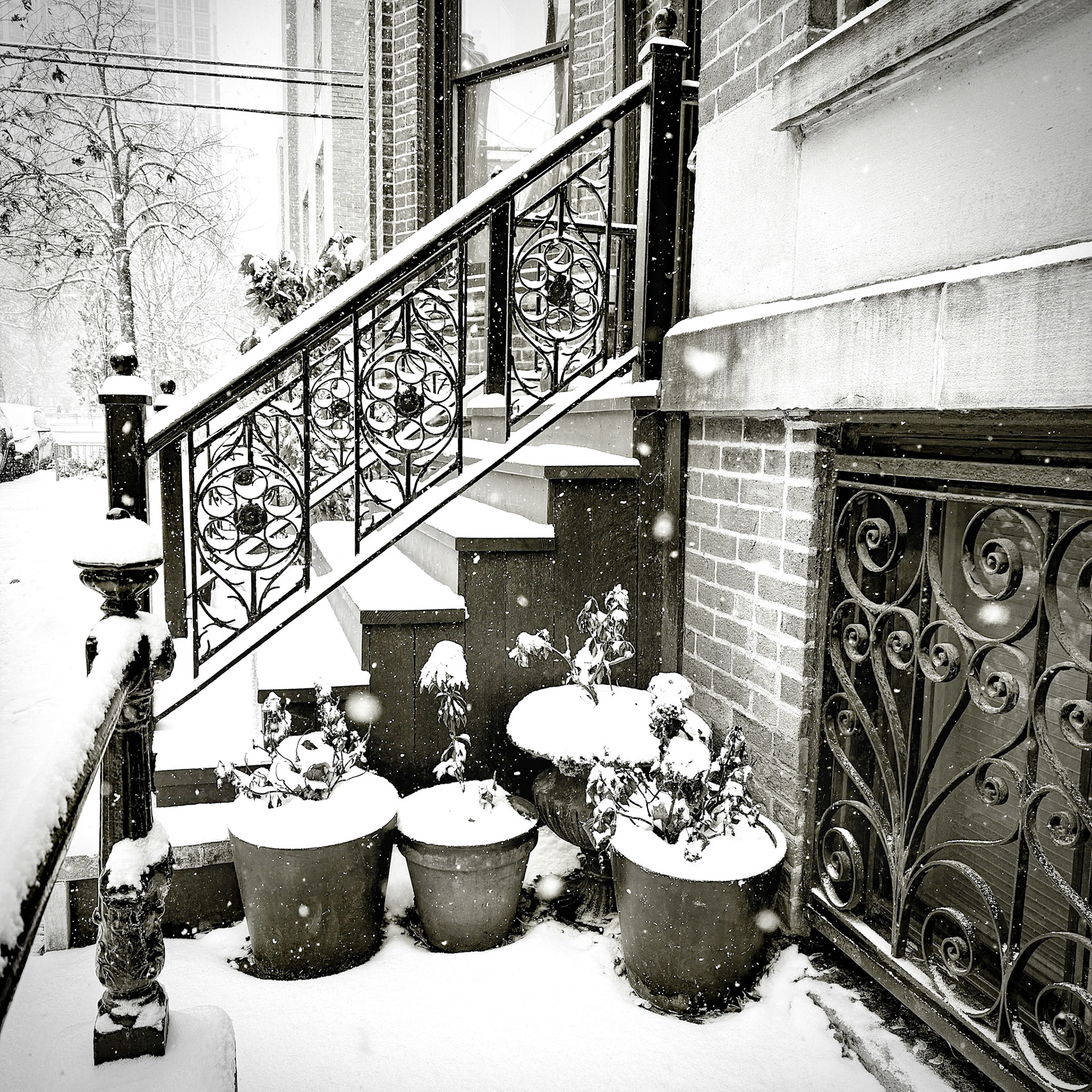 snow day, Delaware Pl, Chicago
