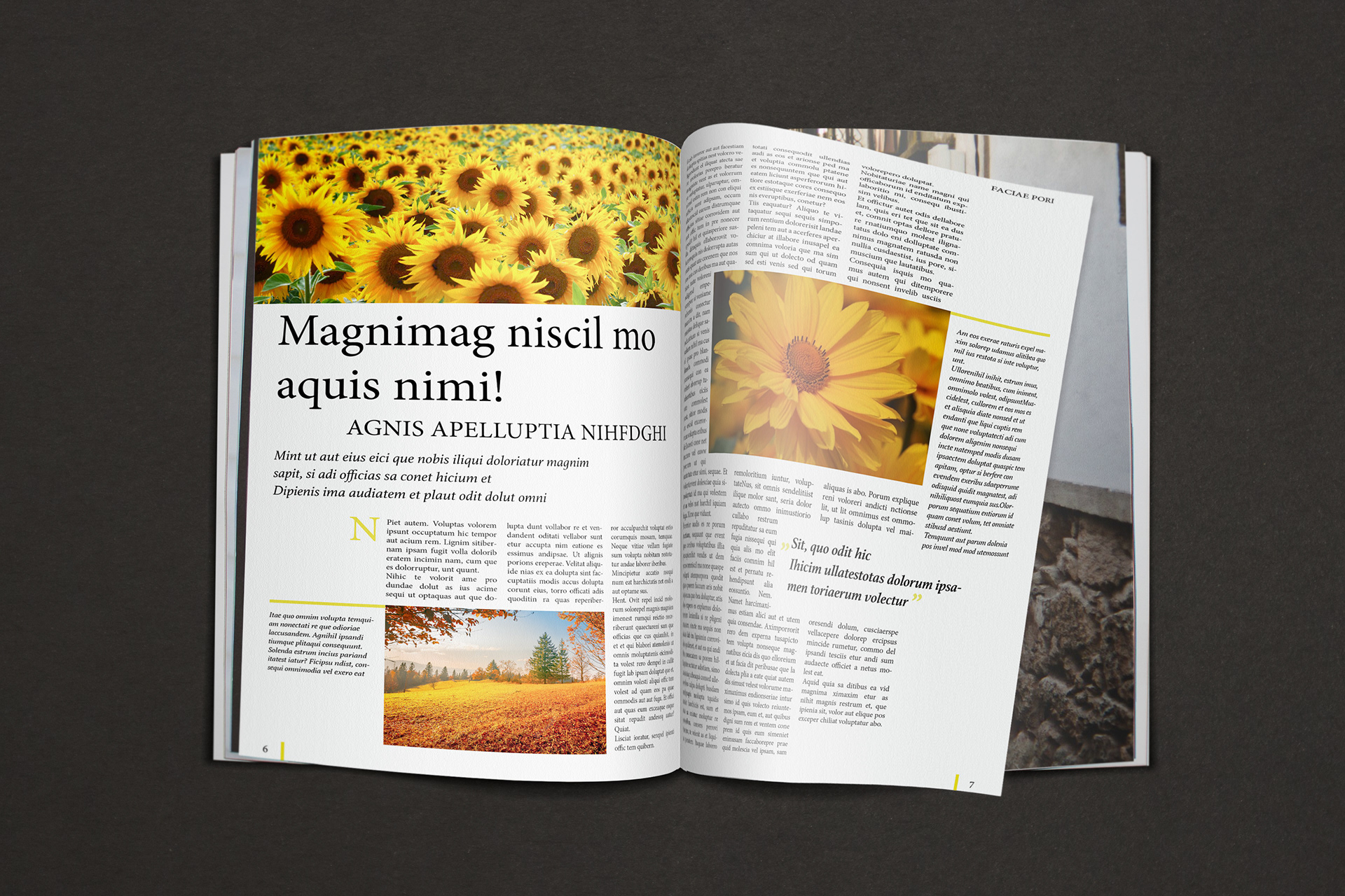 Course task: magazine