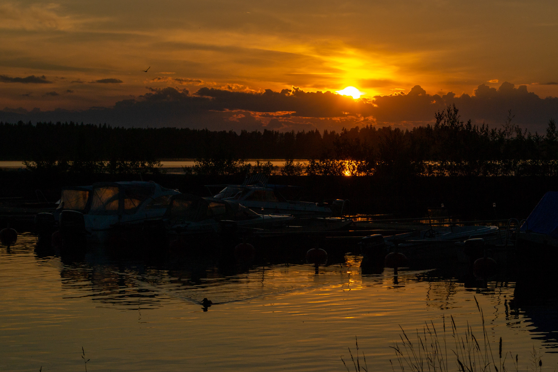 Finnish Summer Night
