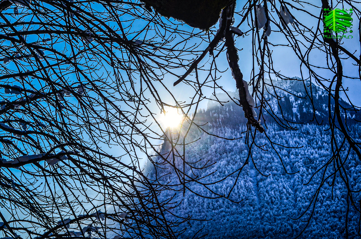 2016 Frozen Mountain