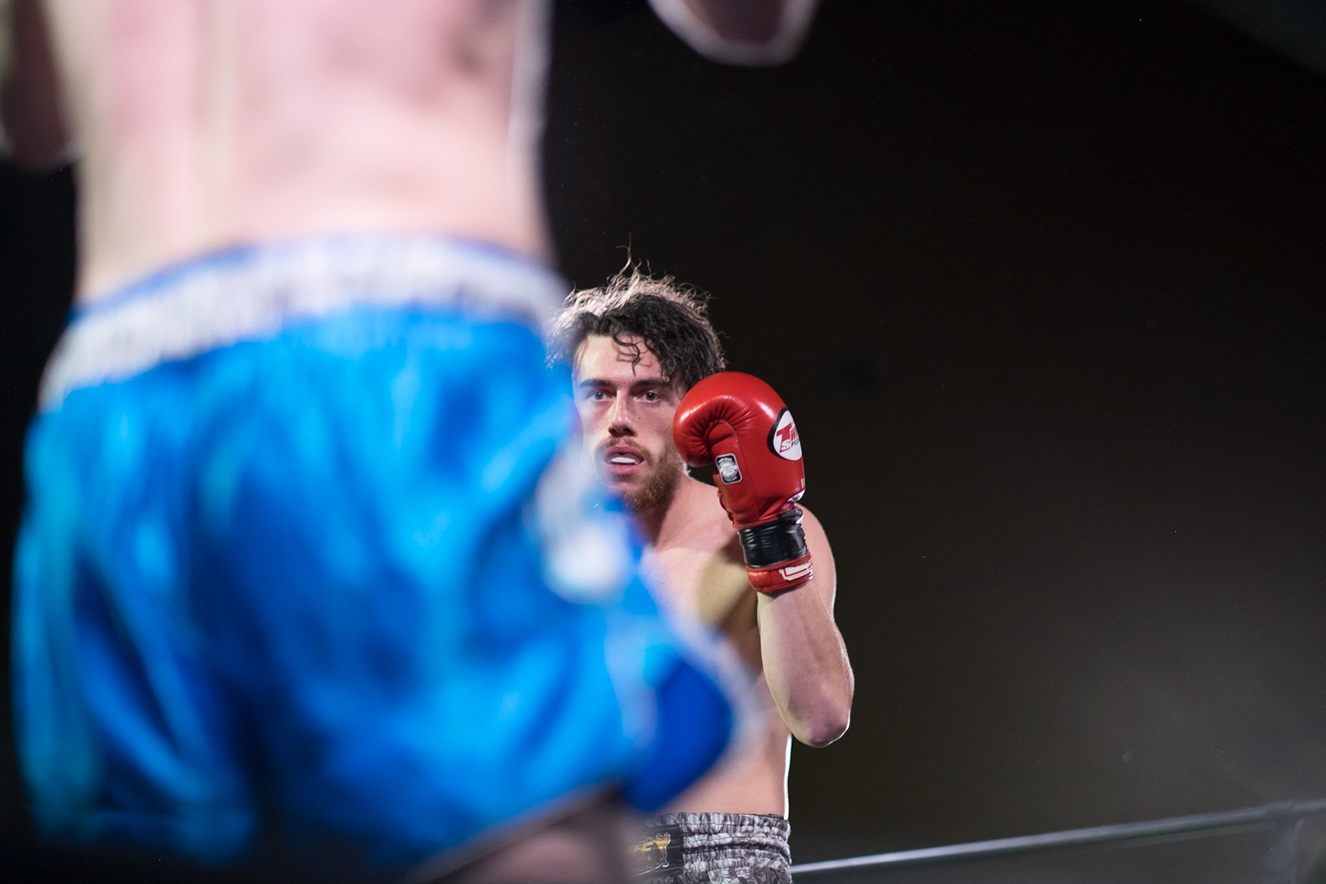 (Oba) Ohkba Ameziane-Hassani 2016 © obafkps@gmail.com ©  www.oba-photo.com