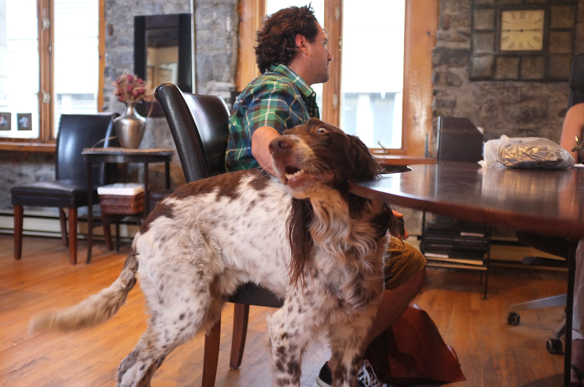 (Oba) Ohkba Ameziane-Hassani 2016 © obafkps@gmail.com ©  www.oba-photo.com