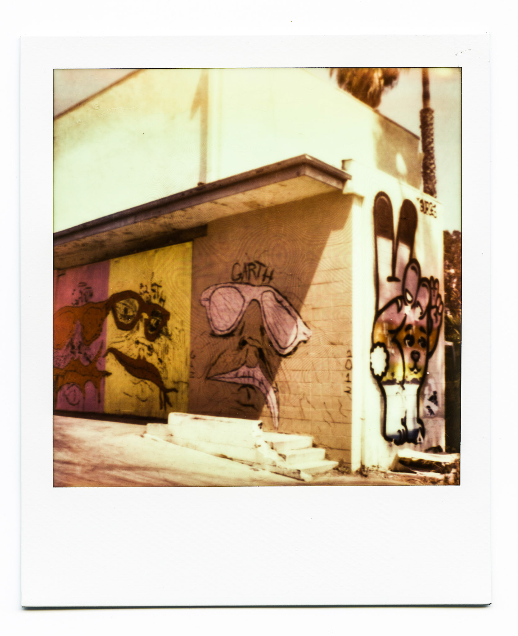 (Oba) Ohkba Ameziane-Hassani 2016 © obafkps@gmail.com ©  www.oba-photo.com©