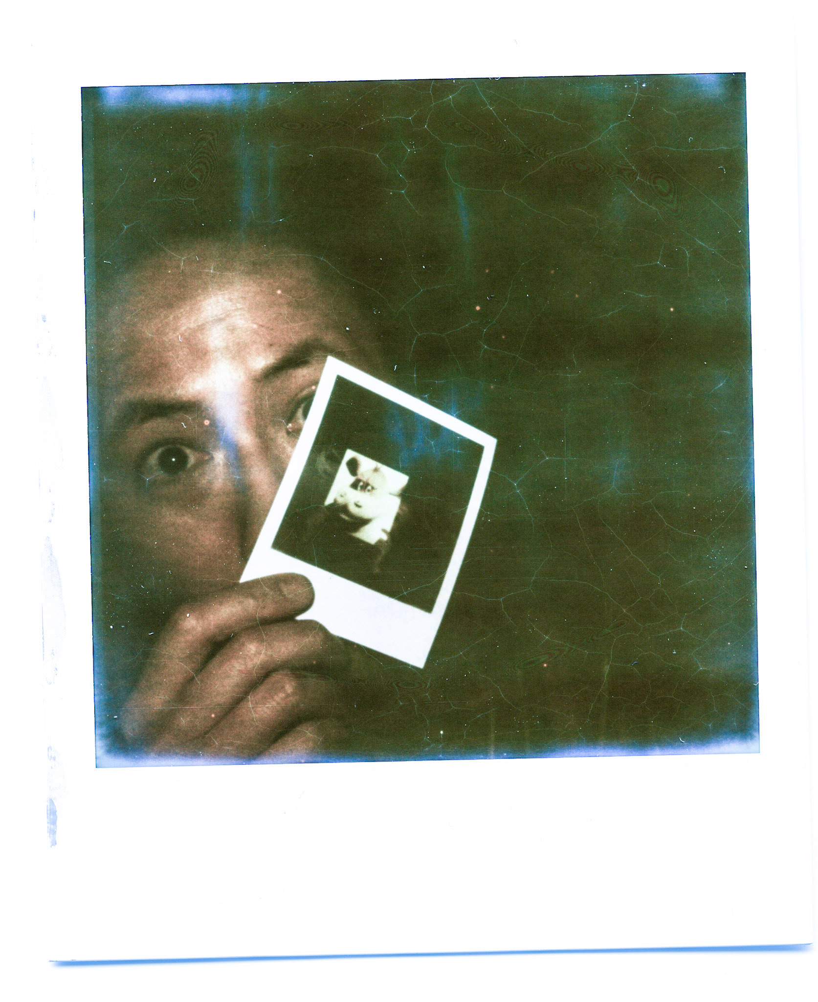 (Oba) Ohkba Ameziane-Hassani 2016 © obafkps@gmail.com ©  www.oba-photo.com©