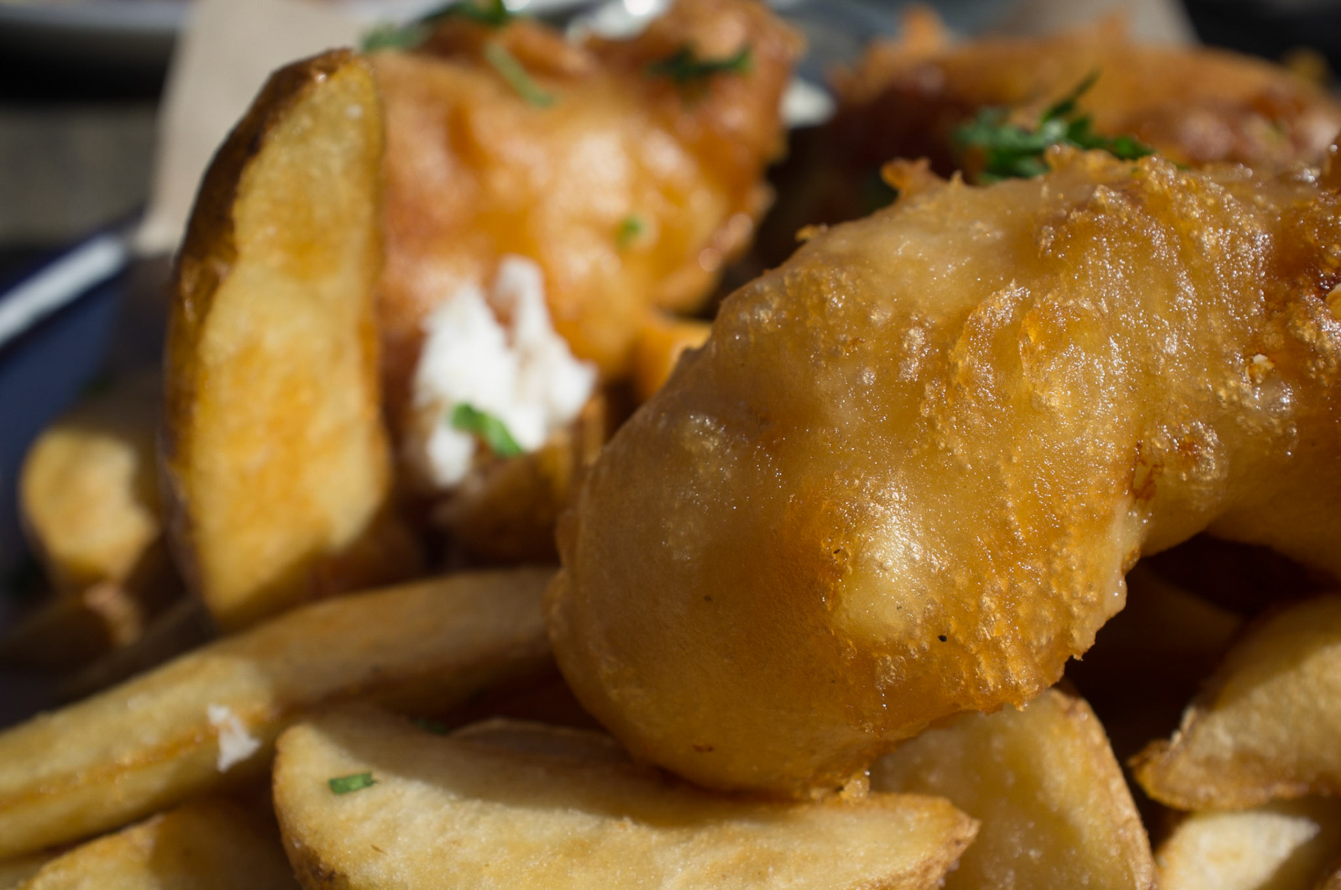 (Oba) Ohkba Ameziane-Hassani 2016 © obafkps@gmail.com ©  www.oba-photo.com