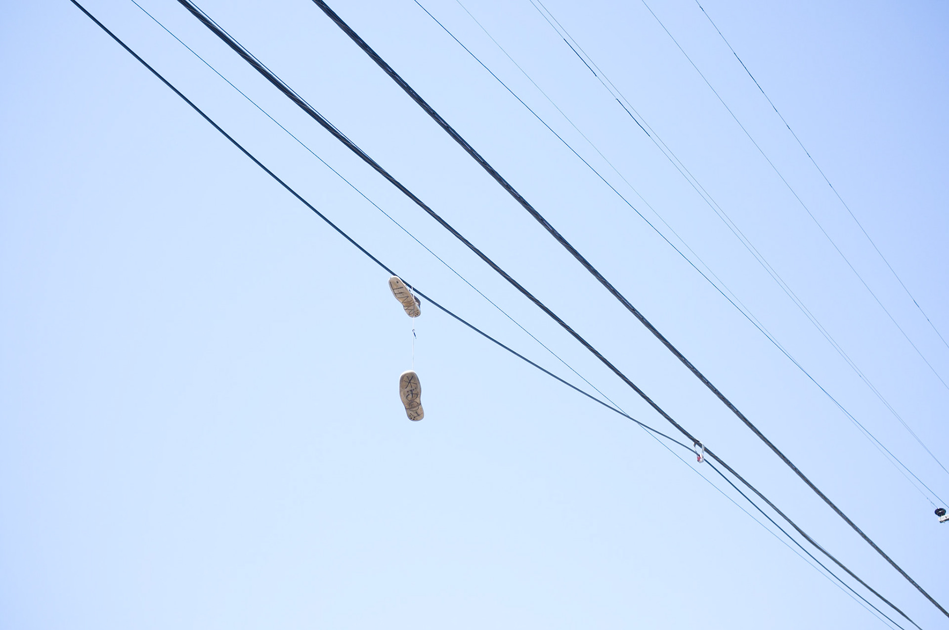 (Oba) Ohkba Ameziane-Hassani 2016 © obafkps@gmail.com ©  www.oba-photo.com