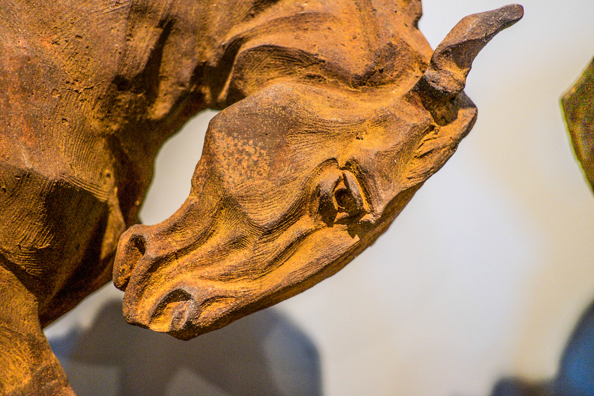 (Oba) Ohkba Ameziane-Hassani 2016 © obafkps@gmail.com ©  www.oba-photo.com