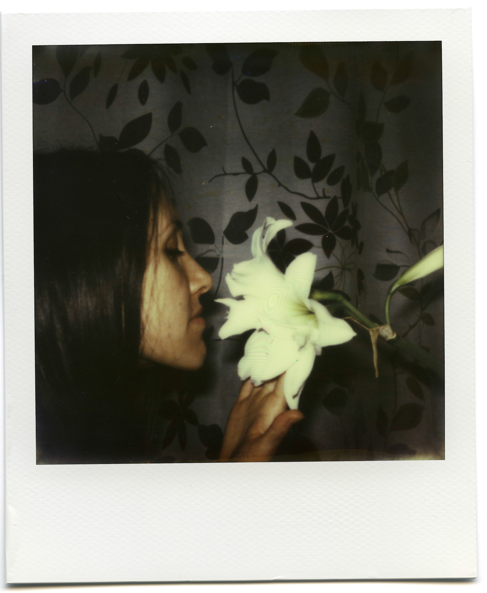 (Oba) Ohkba Ameziane-Hassani 2016 © obafkps@gmail.com ©  www.oba-photo.com©