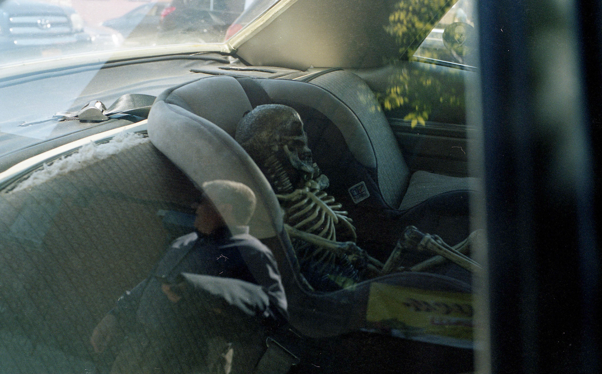 (Oba) Ohkba Ameziane-Hassani 2016 © obafkps@gmail.com ©  www.oba-photo.com