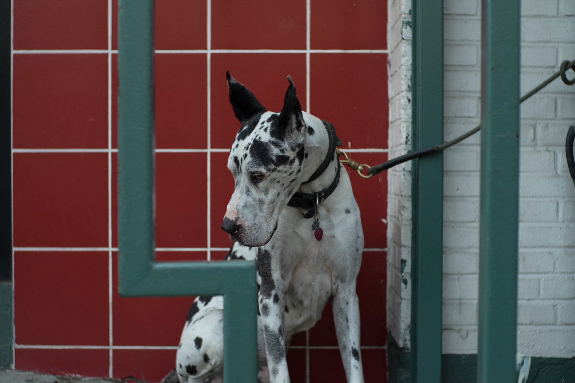 (Oba) Ohkba Ameziane-Hassani 2016 © obafkps@gmail.com ©  www.oba-photo.com