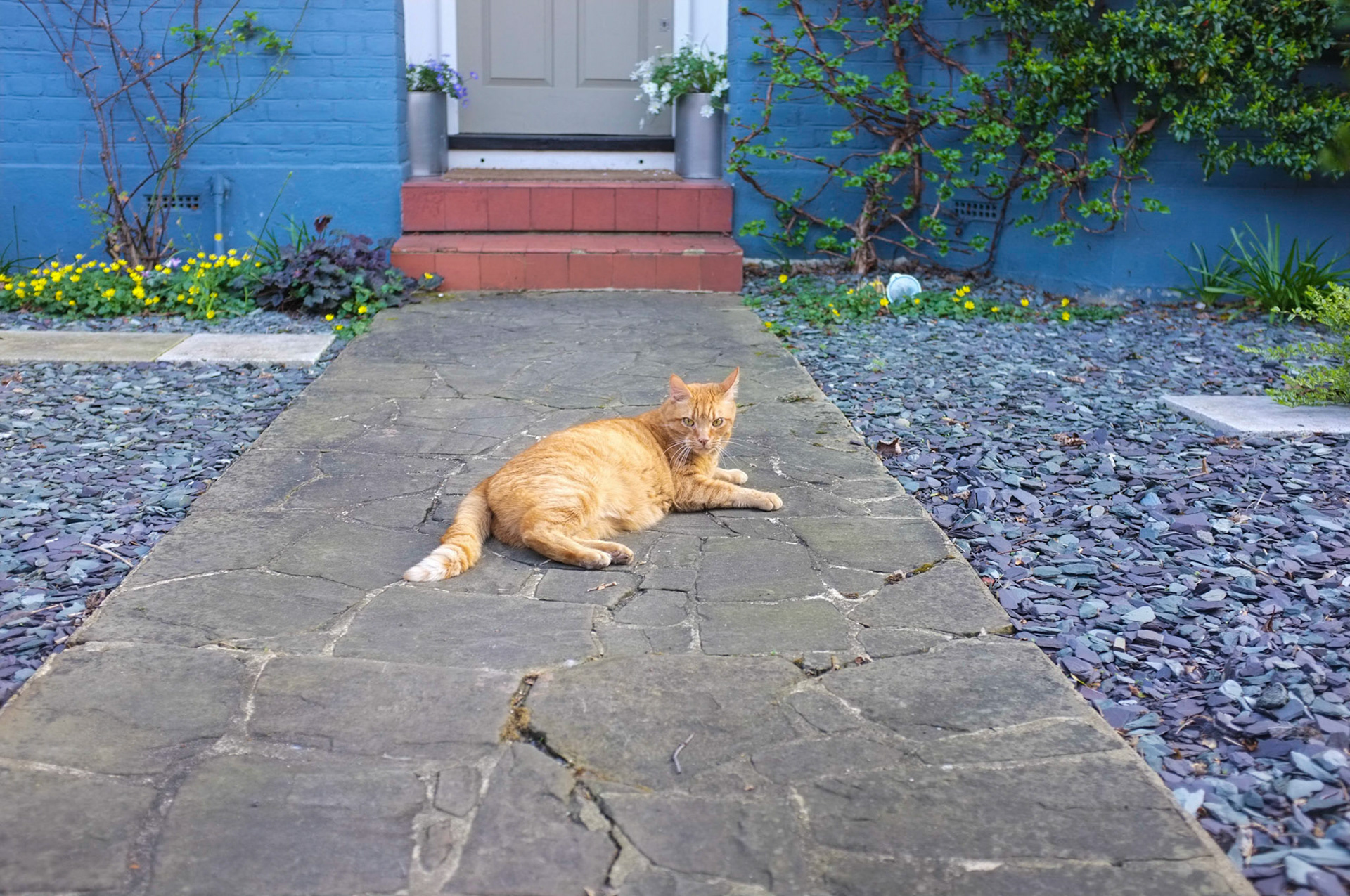 (Oba) Ohkba Ameziane-Hassani 2016 © obafkps@gmail.com ©  www.oba-photo.com