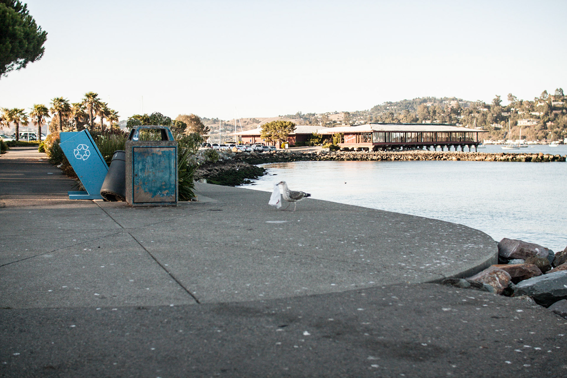 (Oba) Ohkba Ameziane-Hassani 2016 © obafkps@gmail.com ©  www.oba-photo.com