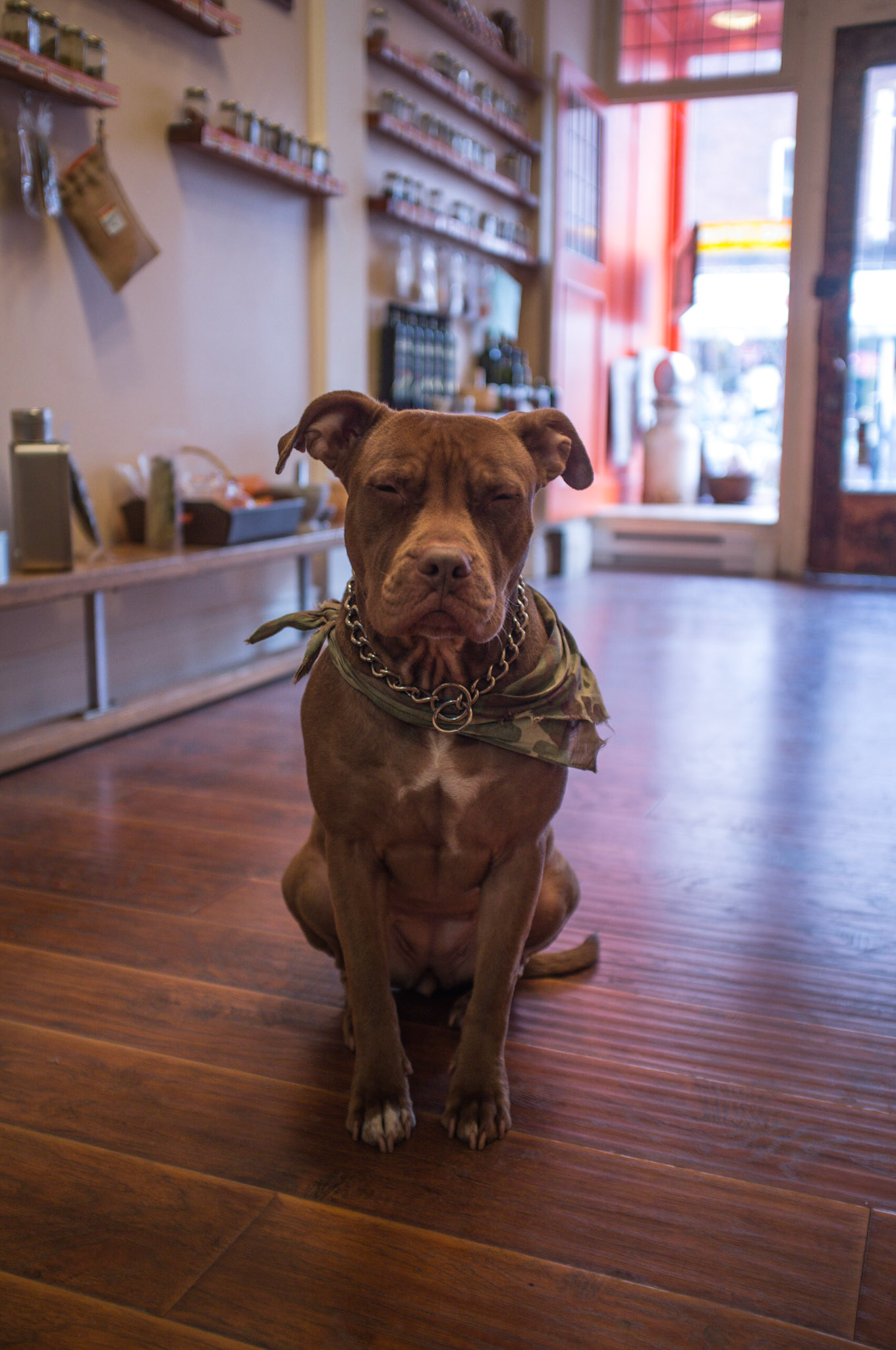 (Oba) Ohkba Ameziane-Hassani 2016 © obafkps@gmail.com ©  www.oba-photo.com