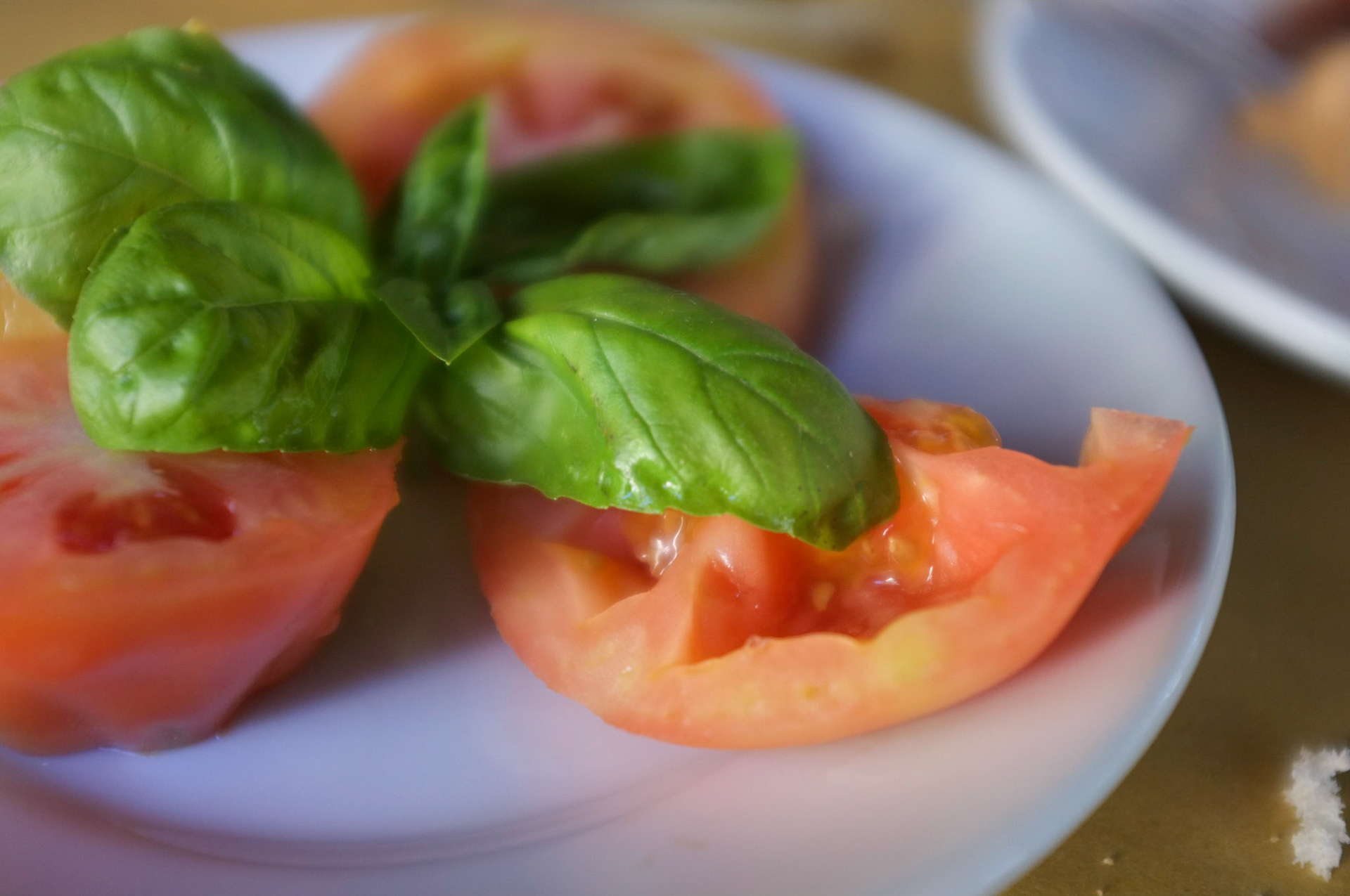 (Oba) Ohkba Ameziane-Hassani 2016 © obafkps@gmail.com ©  www.oba-photo.com