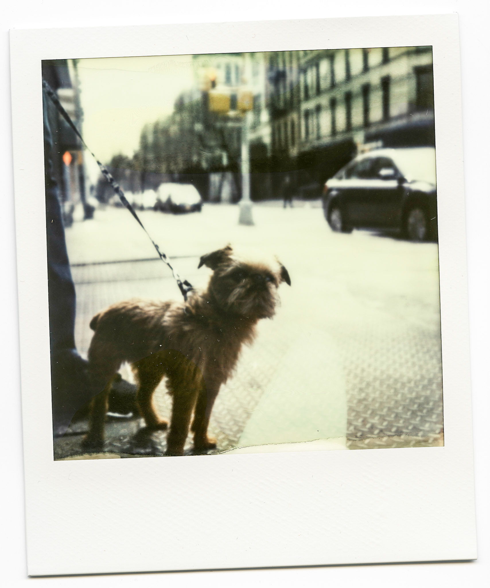 (Oba) Ohkba Ameziane-Hassani 2016 © obafkps@gmail.com ©  www.oba-photo.com©