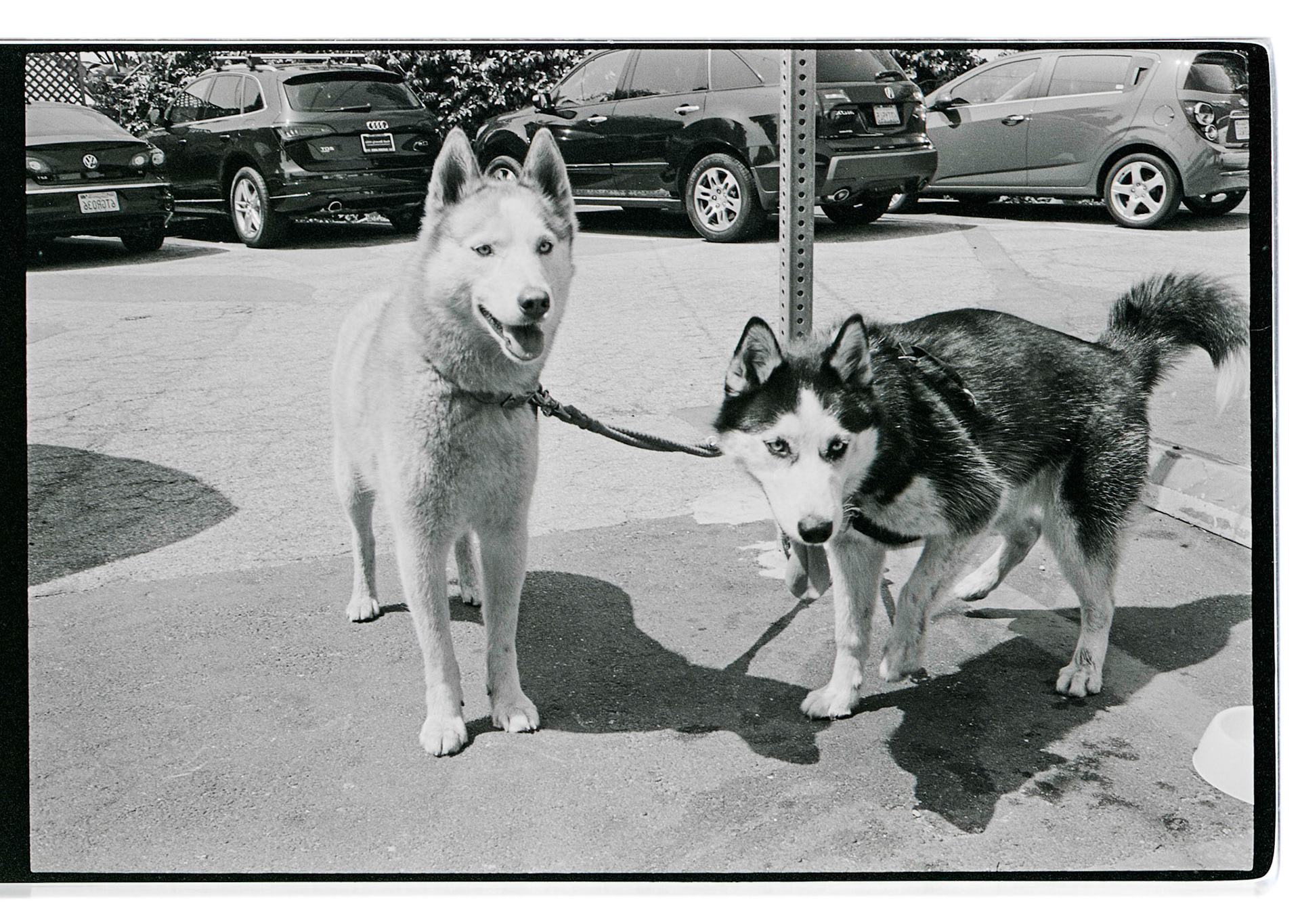 (Oba) Ohkba Ameziane-Hassani 2016 © obafkps@gmail.com ©  www.oba-photo.com