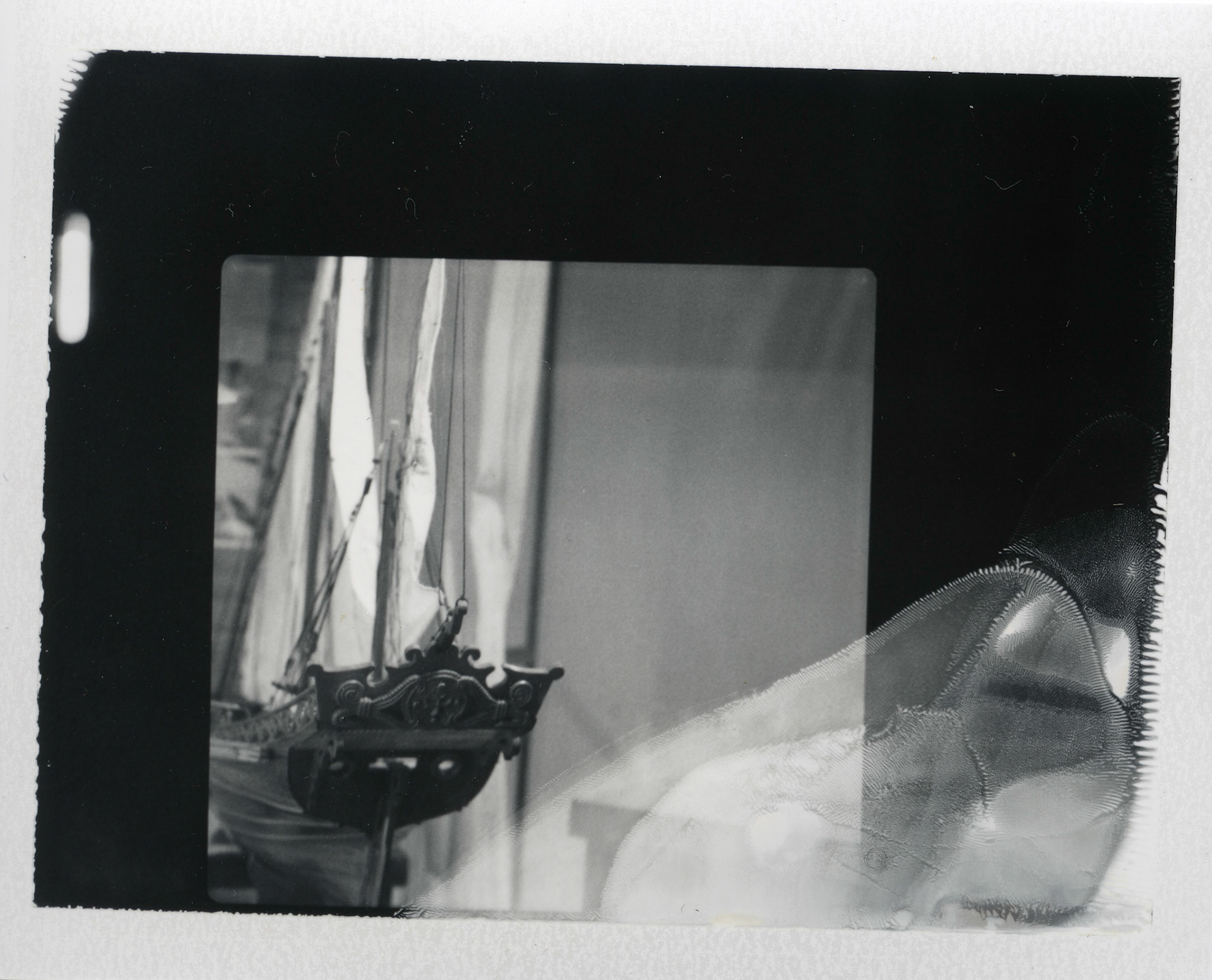 (Oba) Ohkba Ameziane-Hassani 2016 © obafkps@gmail.com ©  www.oba-photo.com©